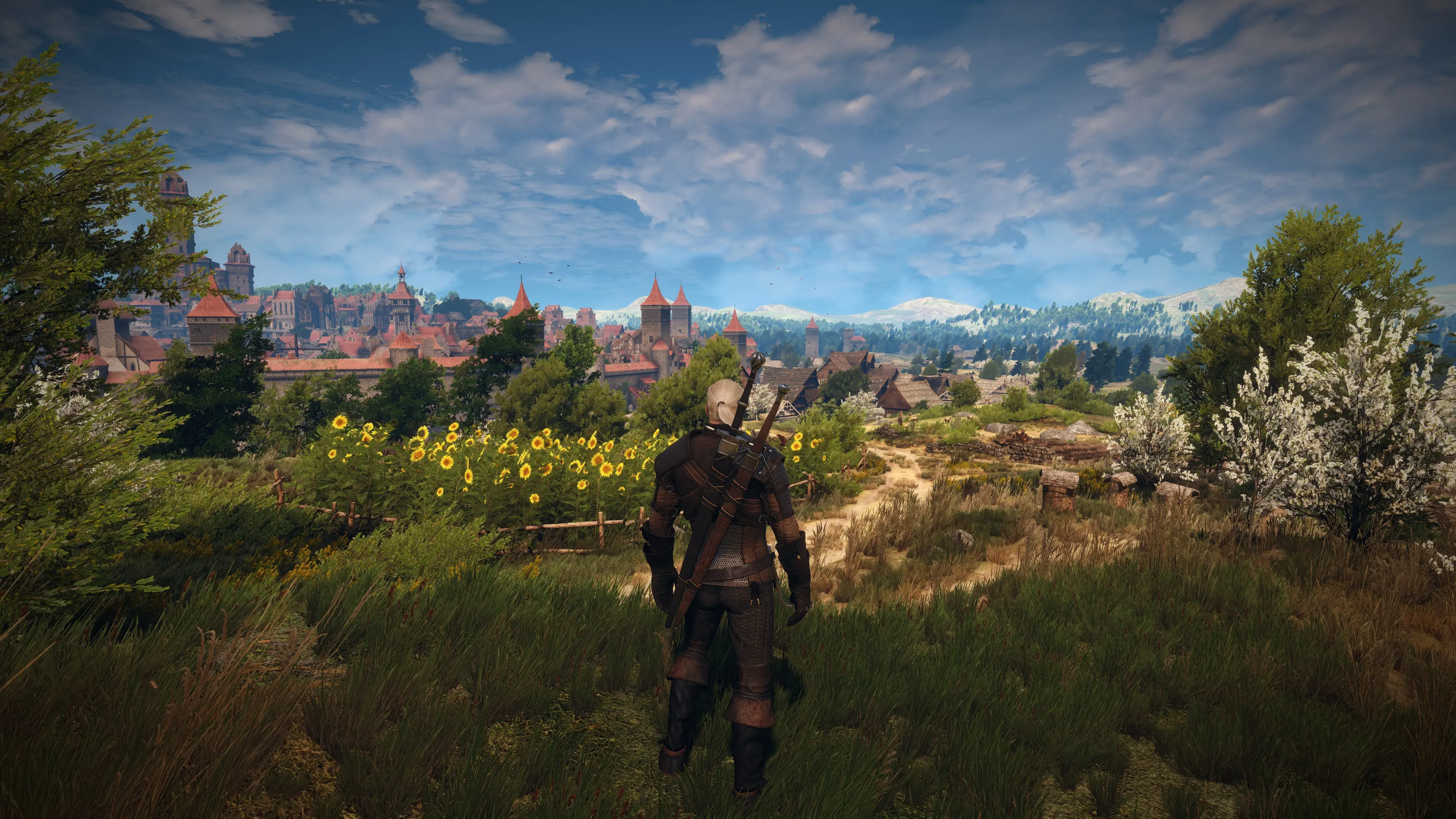 The witcher 3 моды капюшоны фото 29