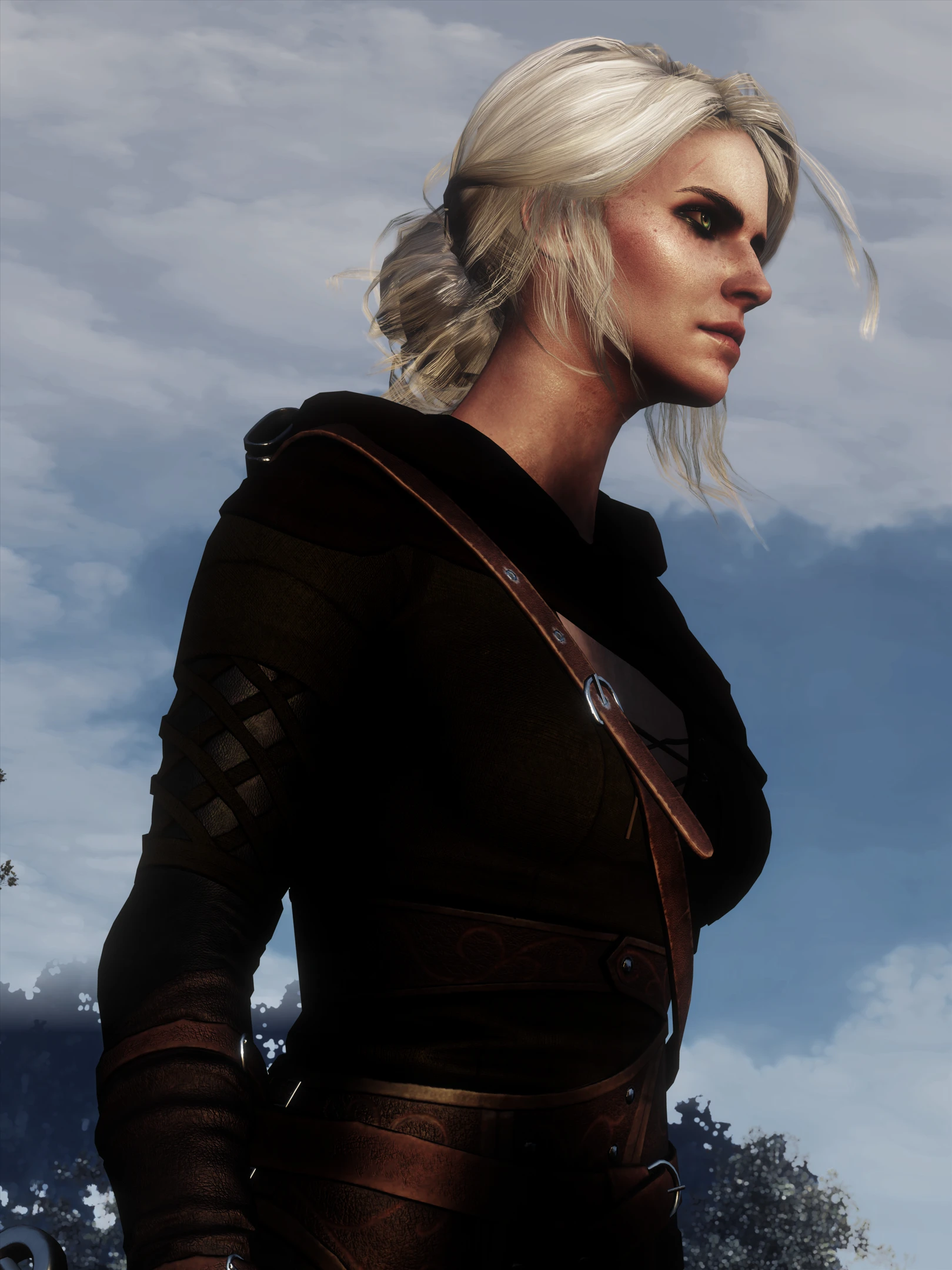 Ciri at The Witcher 3 Nexus - Mods and community