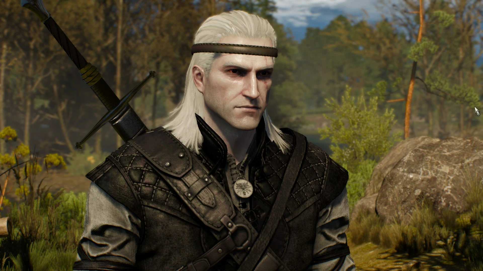 Book Geralt at The Witcher 3 Nexus - Mods and community.