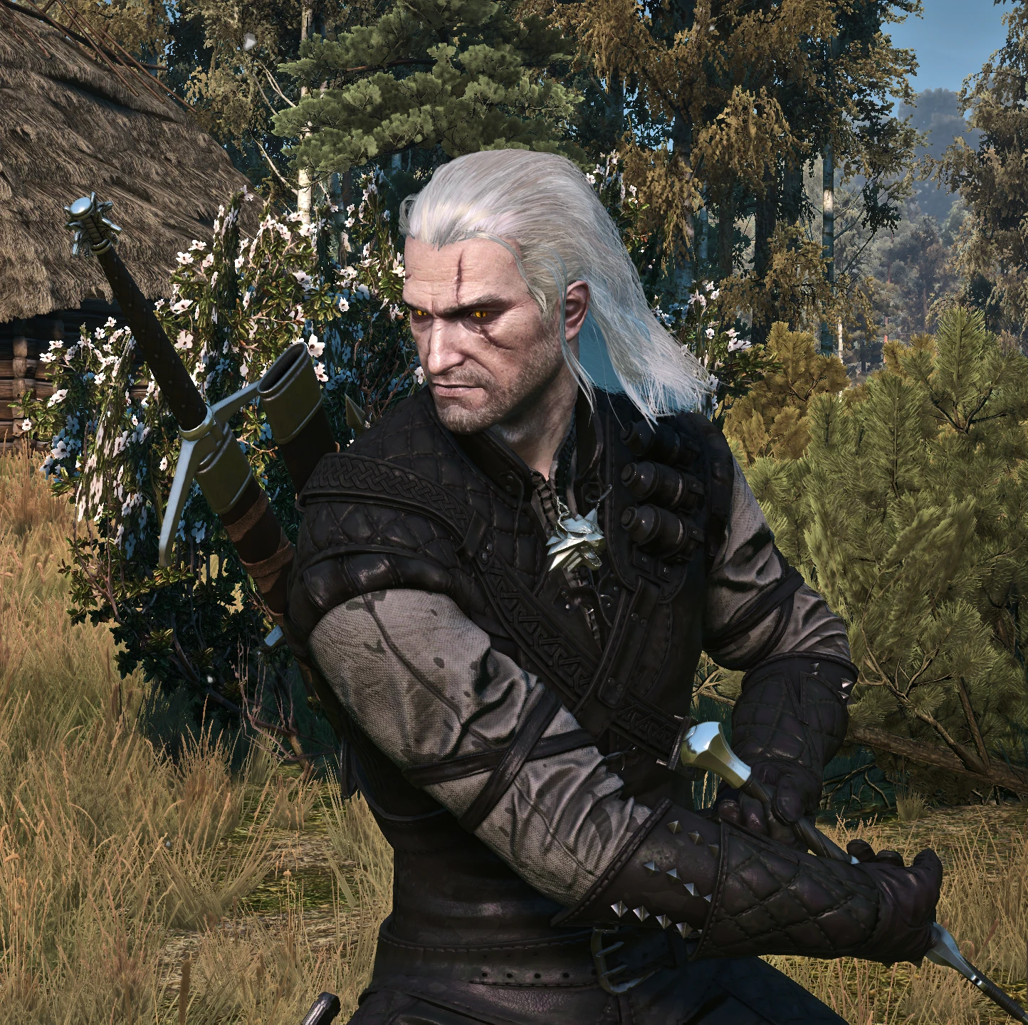 The witcher 3 geralt on steroids фото 109