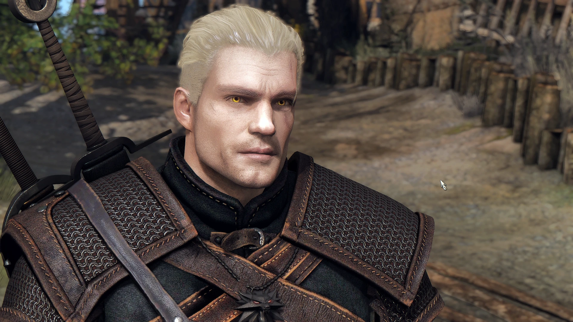 henry the witcher