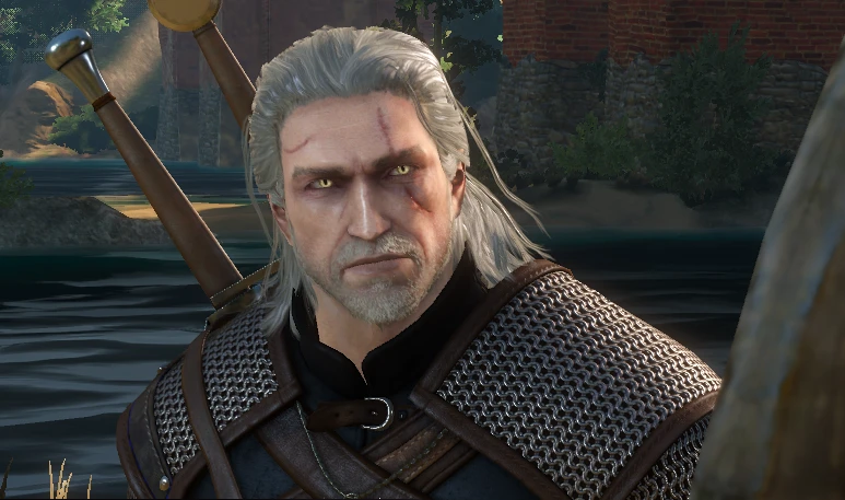 Look at what the cat dragged in at The Witcher 3 Nexus - Mods and community