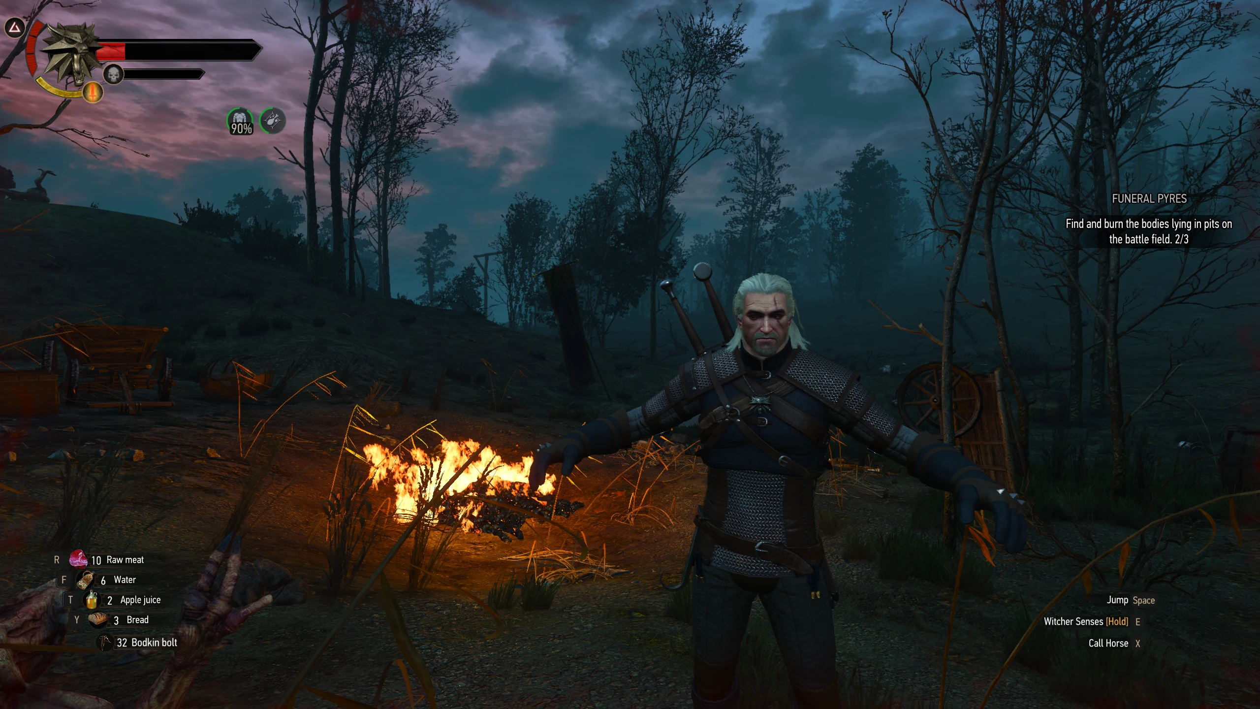 Give Me A Hug Bug At The Witcher 3 Nexus Mods And Community