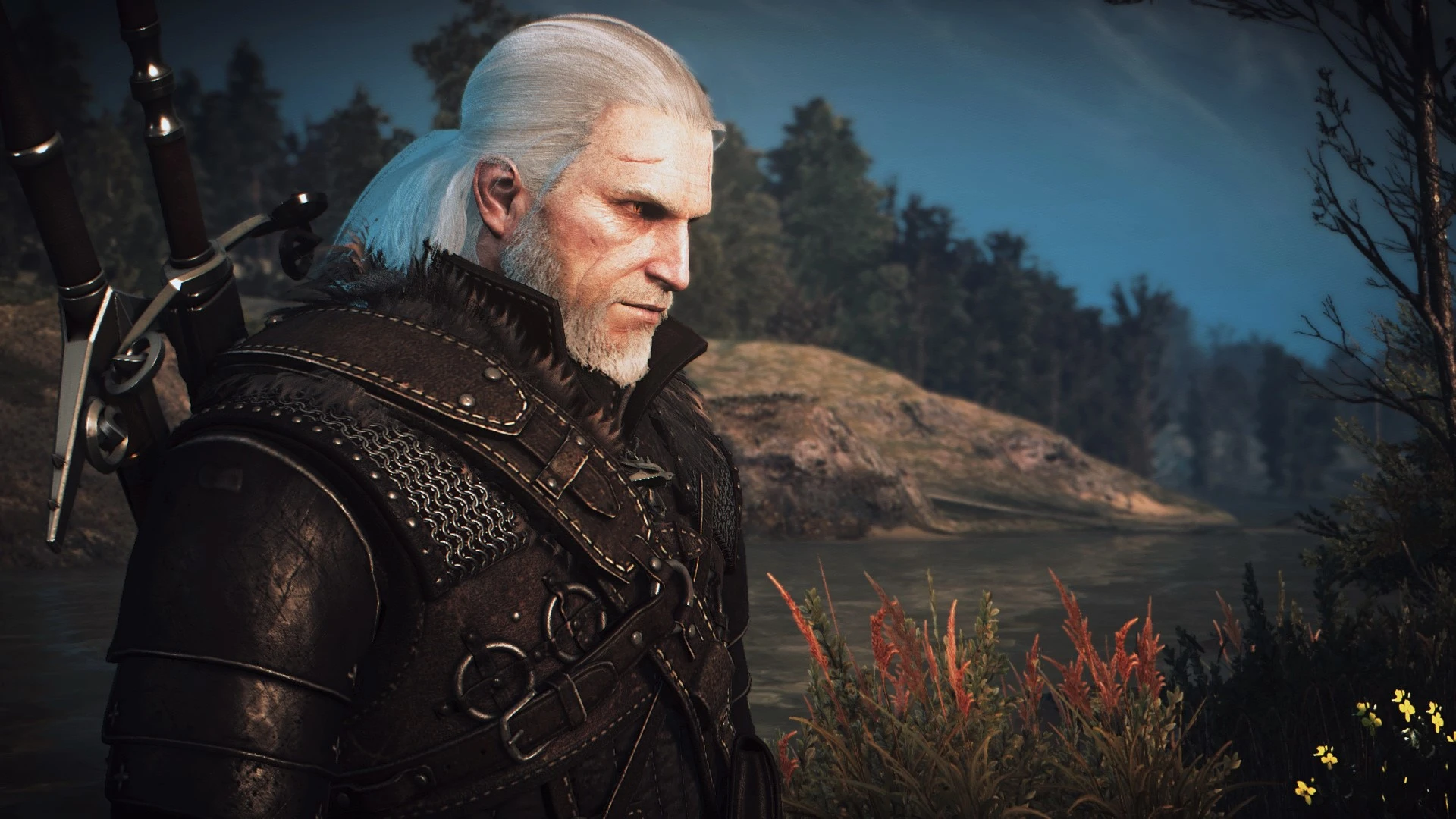 The witcher 3 geralt hairstyle фото 88