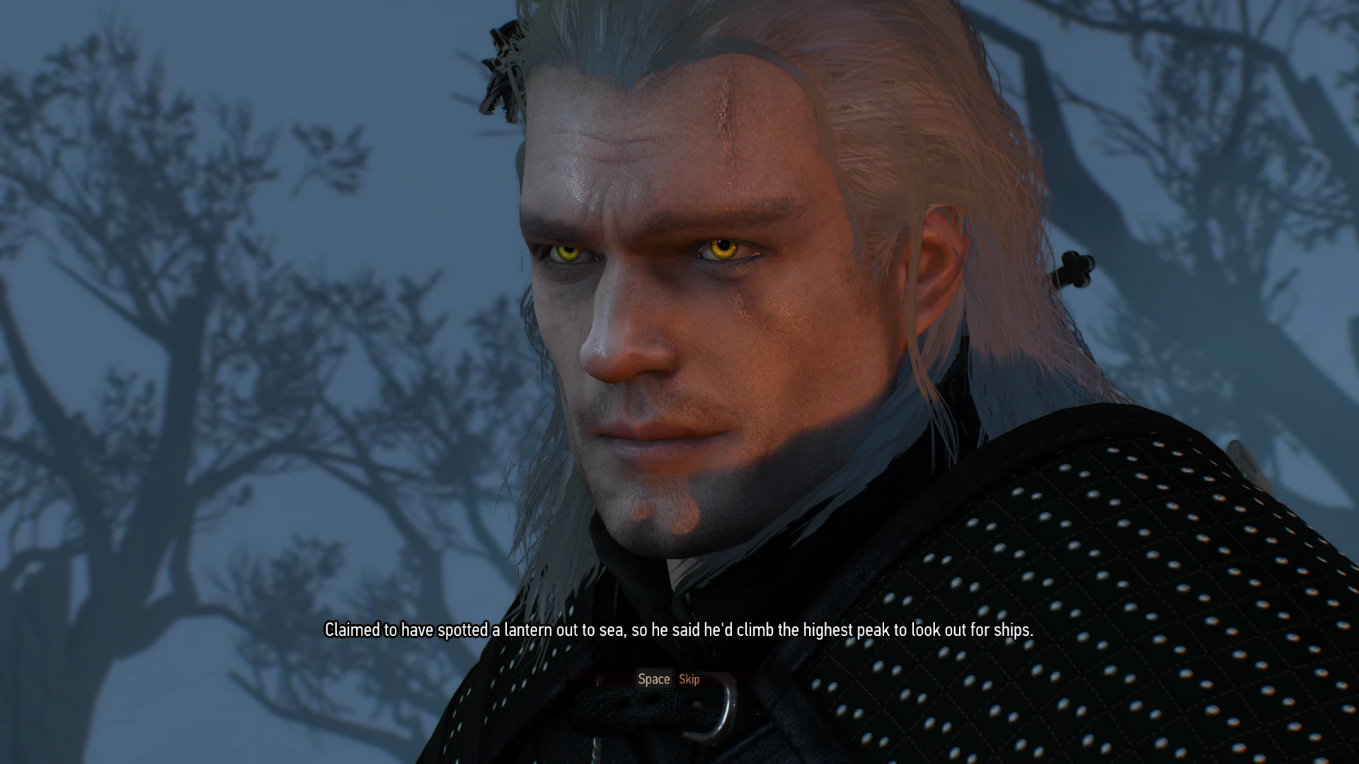 The witcher 3 face mod фото 82