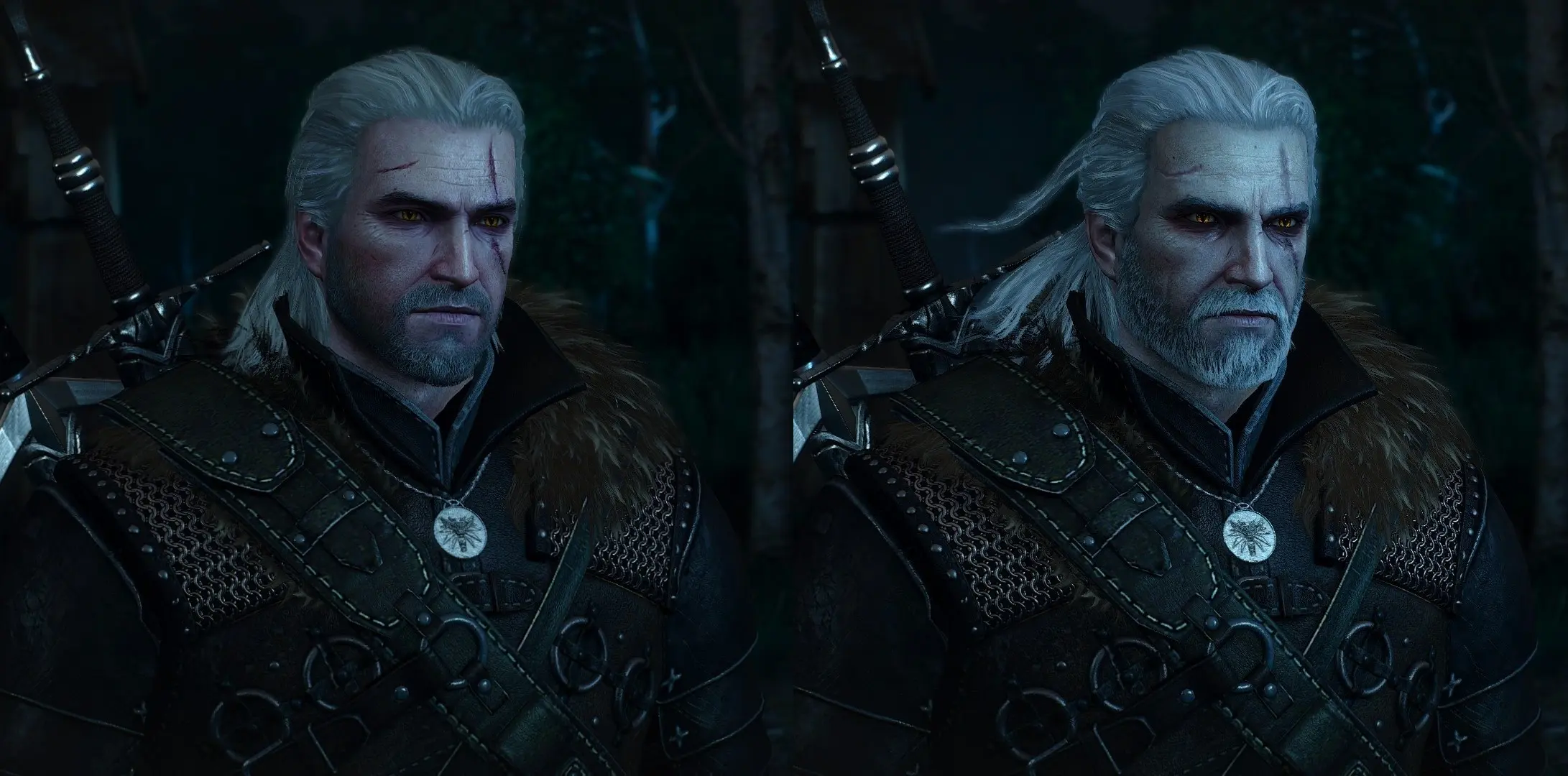 From Virgin To Chad At The Witcher 3 Nexus Mods And Community