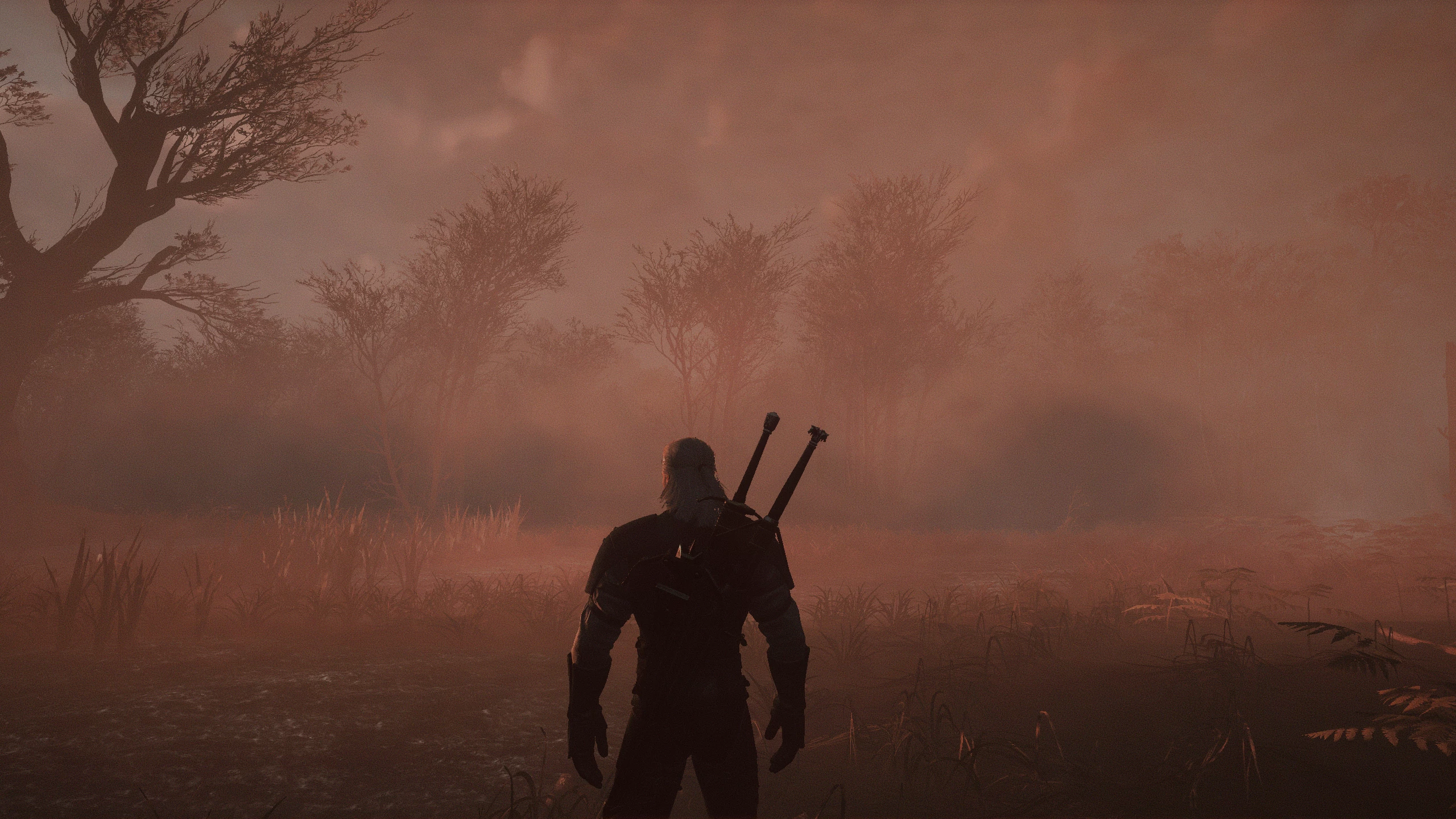 witchfire bog witchfire bog