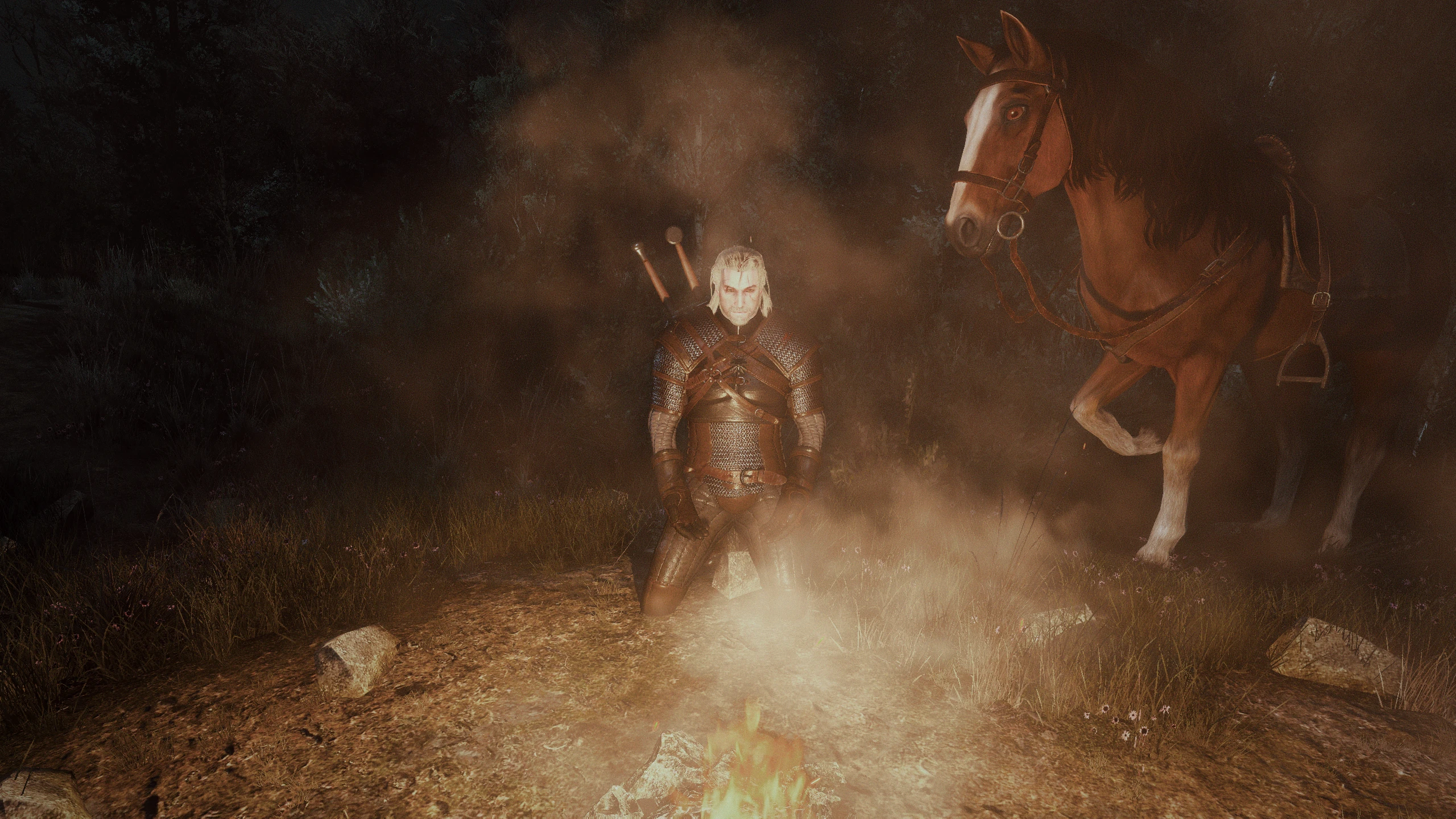 Roach At The Witcher 3 Nexus - Mods And Community