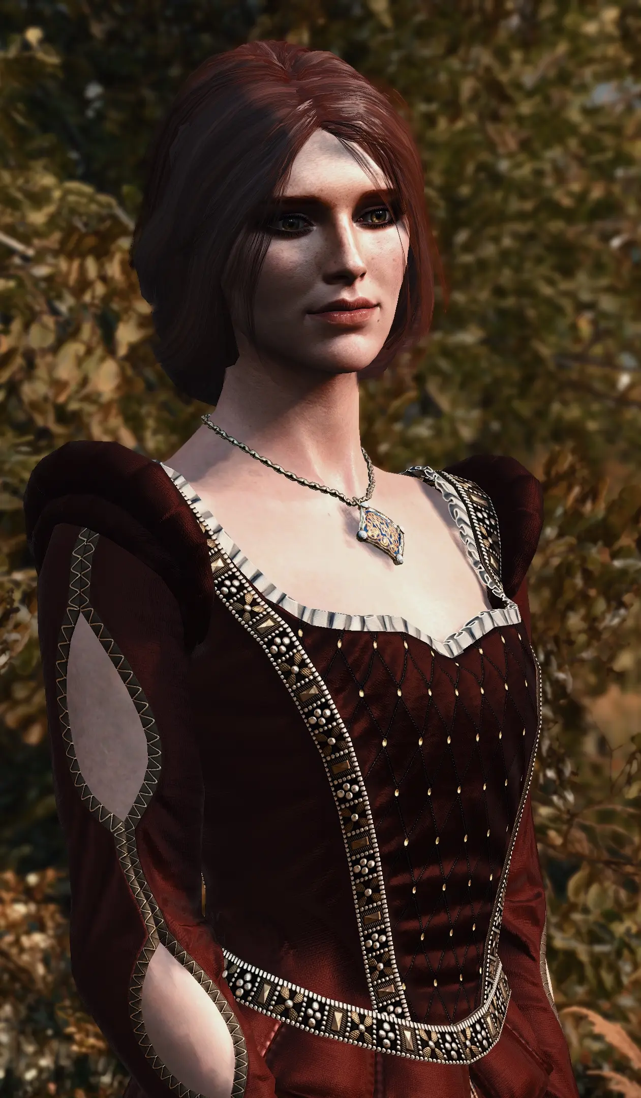 At The Witcher 3 Nexus Mods And Community 8138