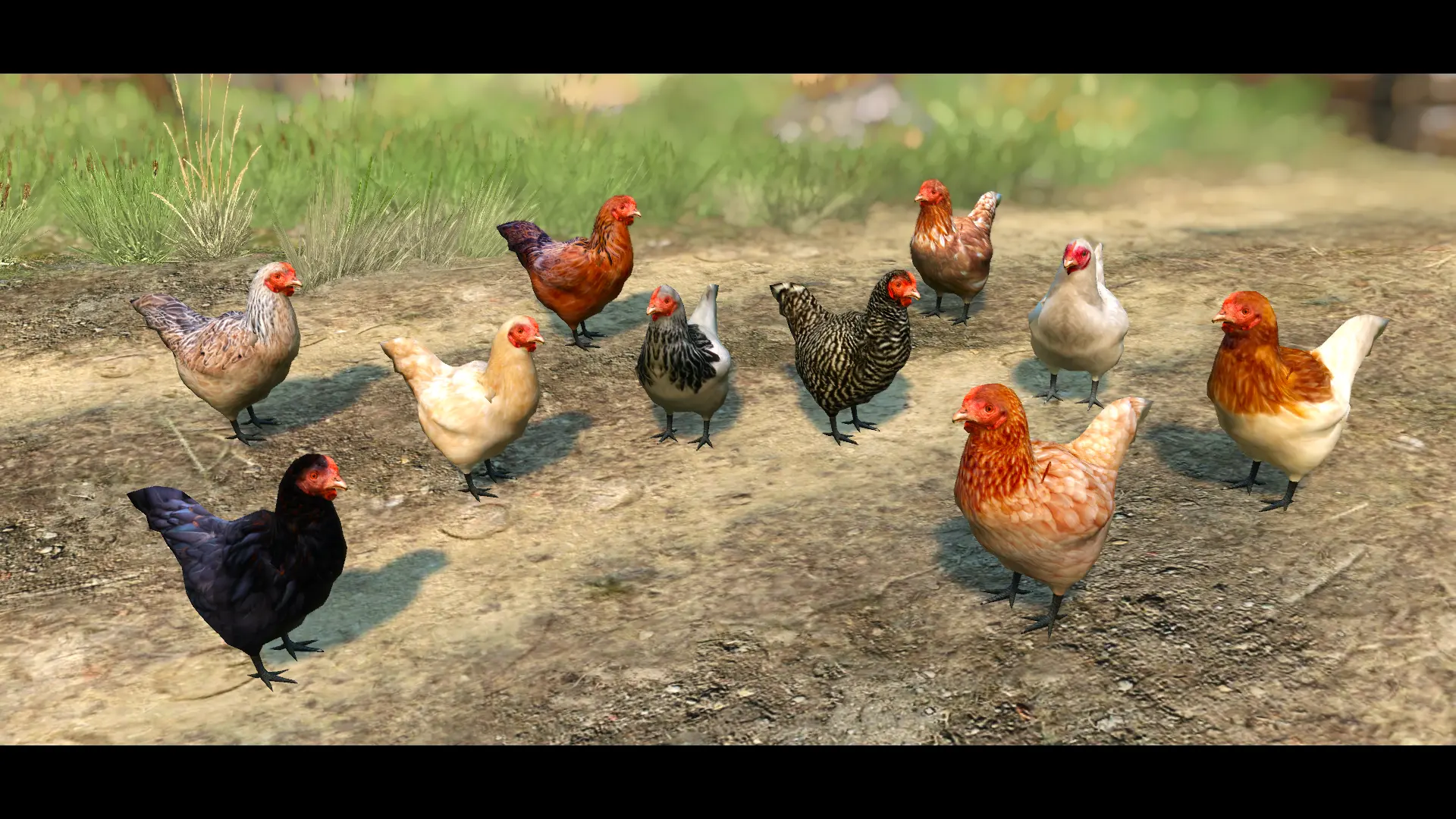 Some low quality chicken at The Witcher 3 Nexus - Mods and community