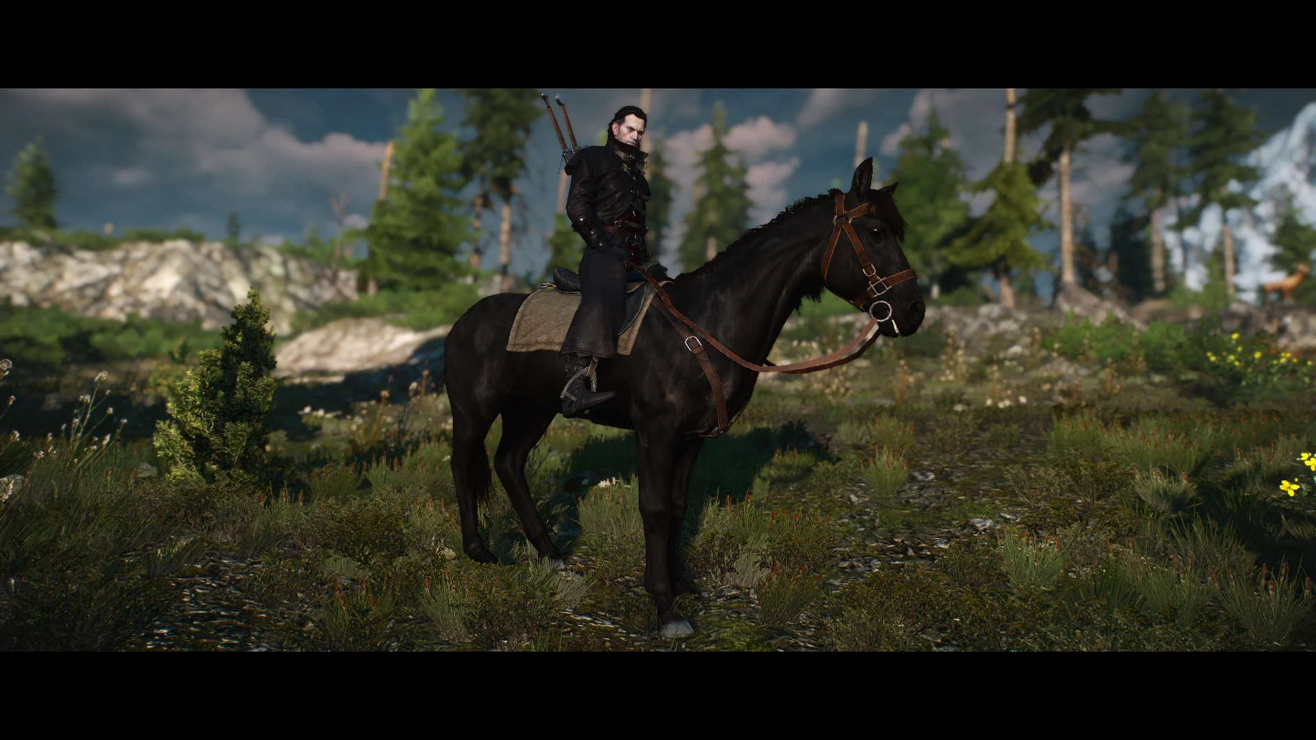 The witcher 3 roach mod фото 5