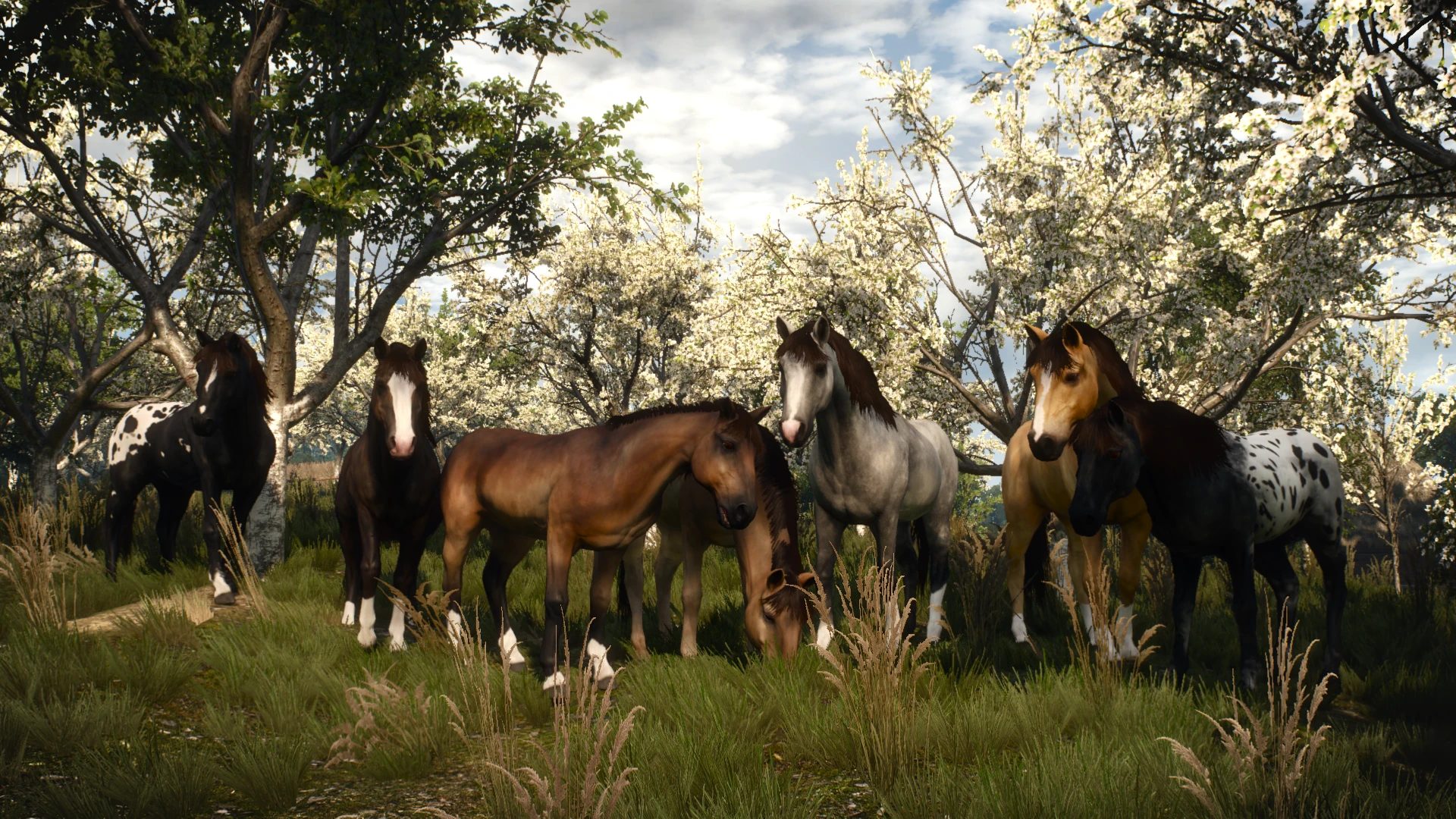 Horses of the North at The Witcher 3 Nexus Mods and community