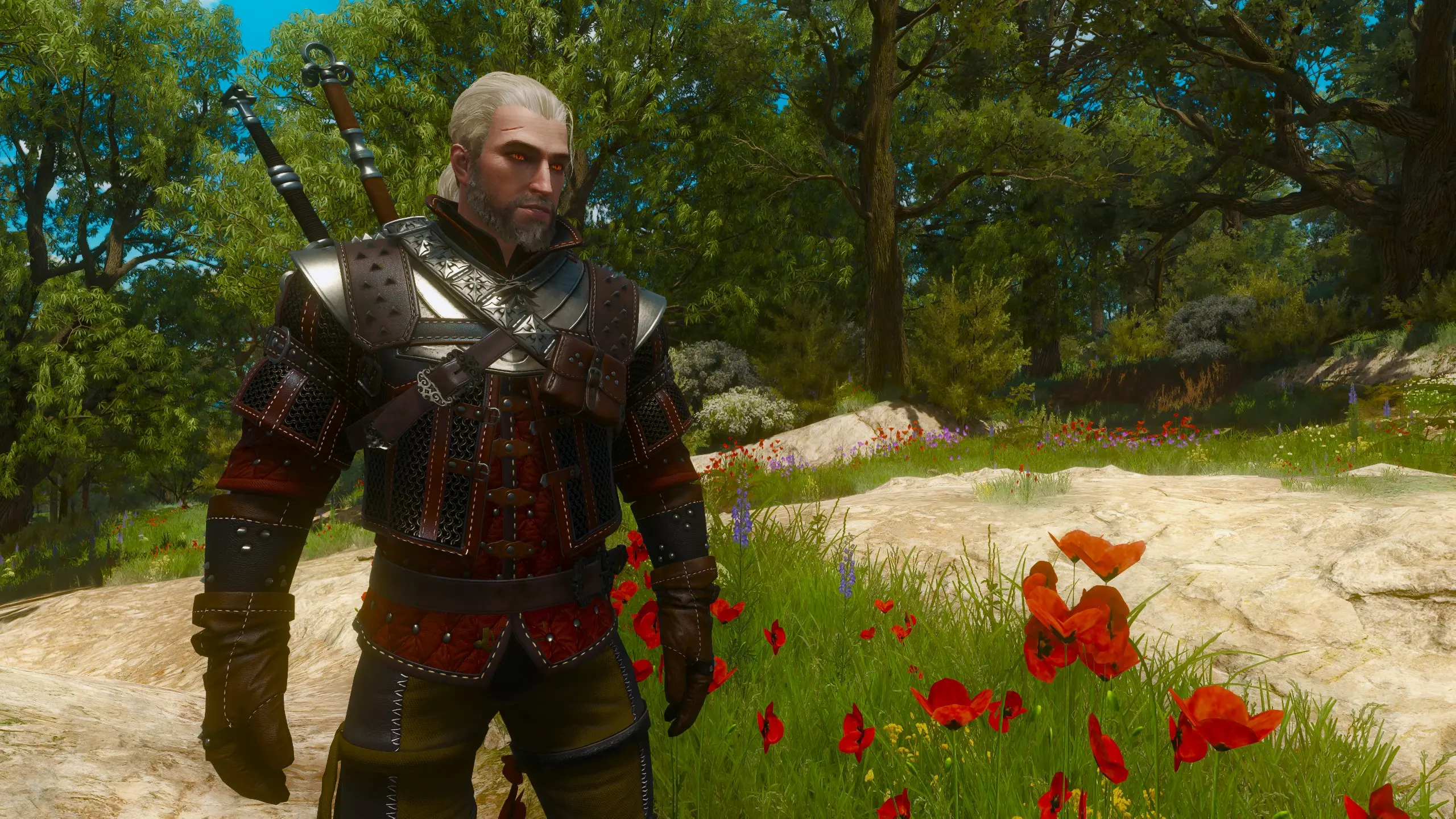 Grandmaster wolf armor at The Witcher 3 Nexus - Mods and community