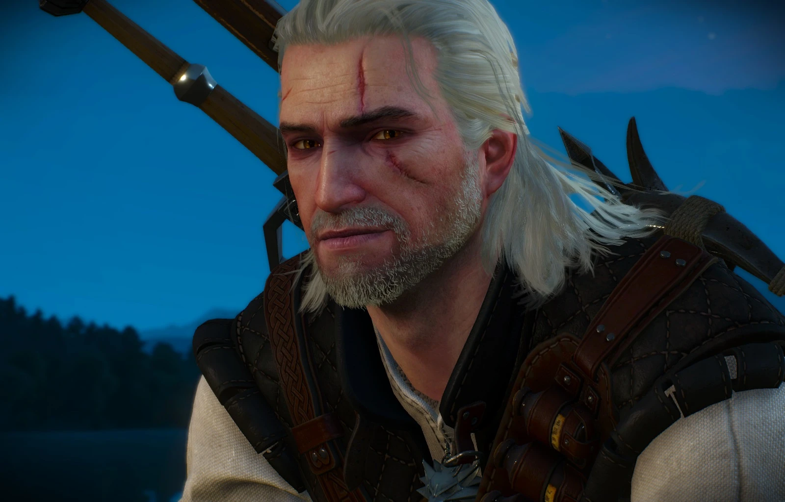 Geralt from the witcher 3 фото 75