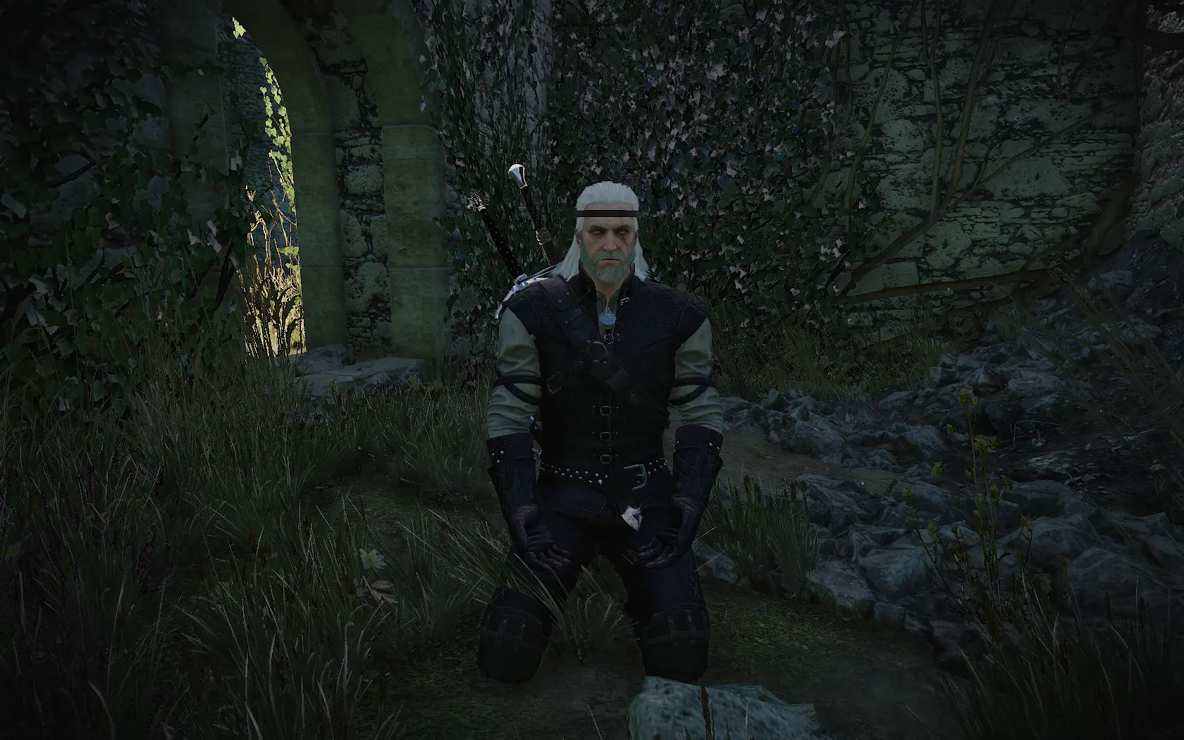 The witcher 3 friendly meditation mod фото 2