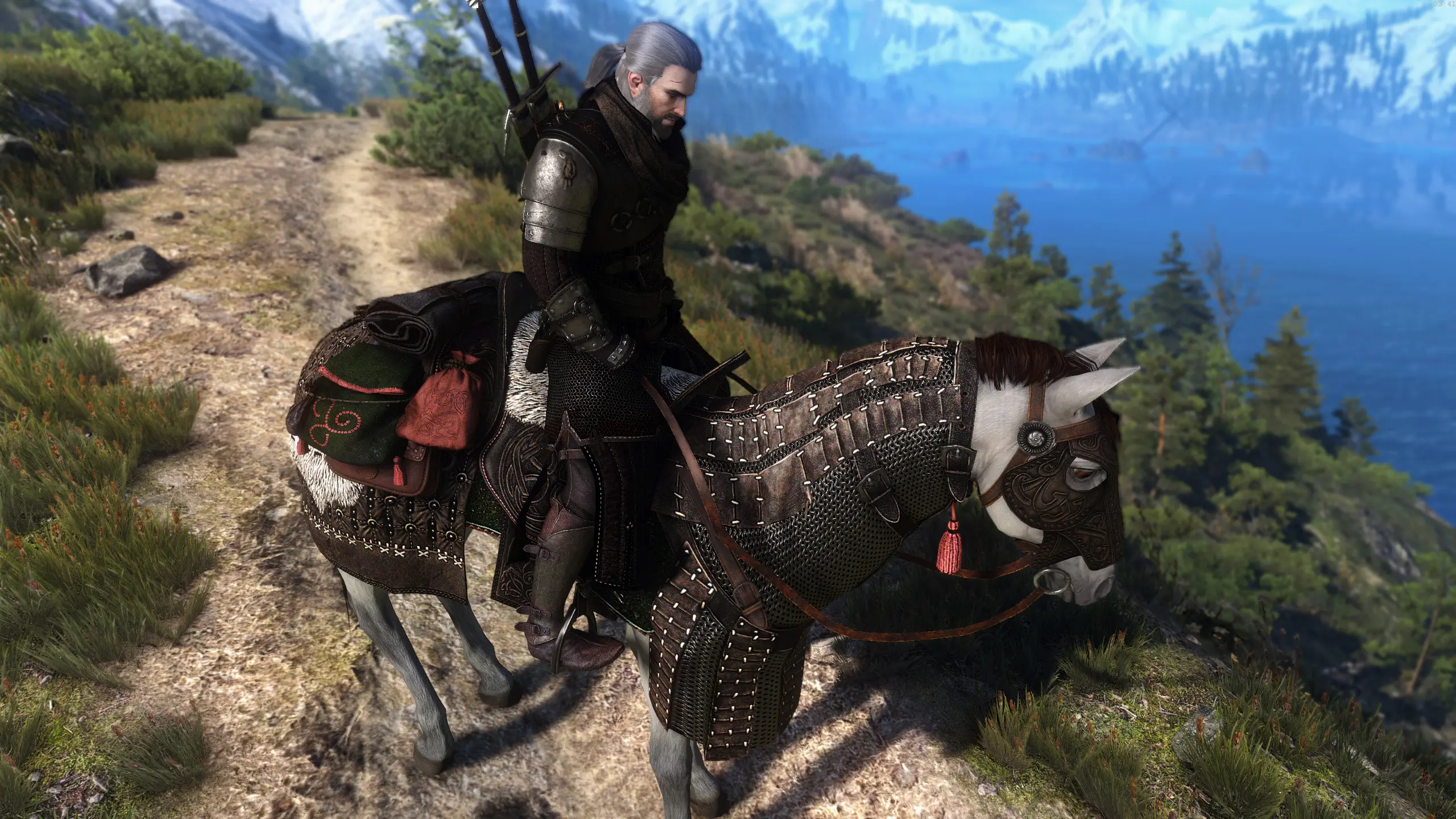 The witcher 3 horse mod фото 23