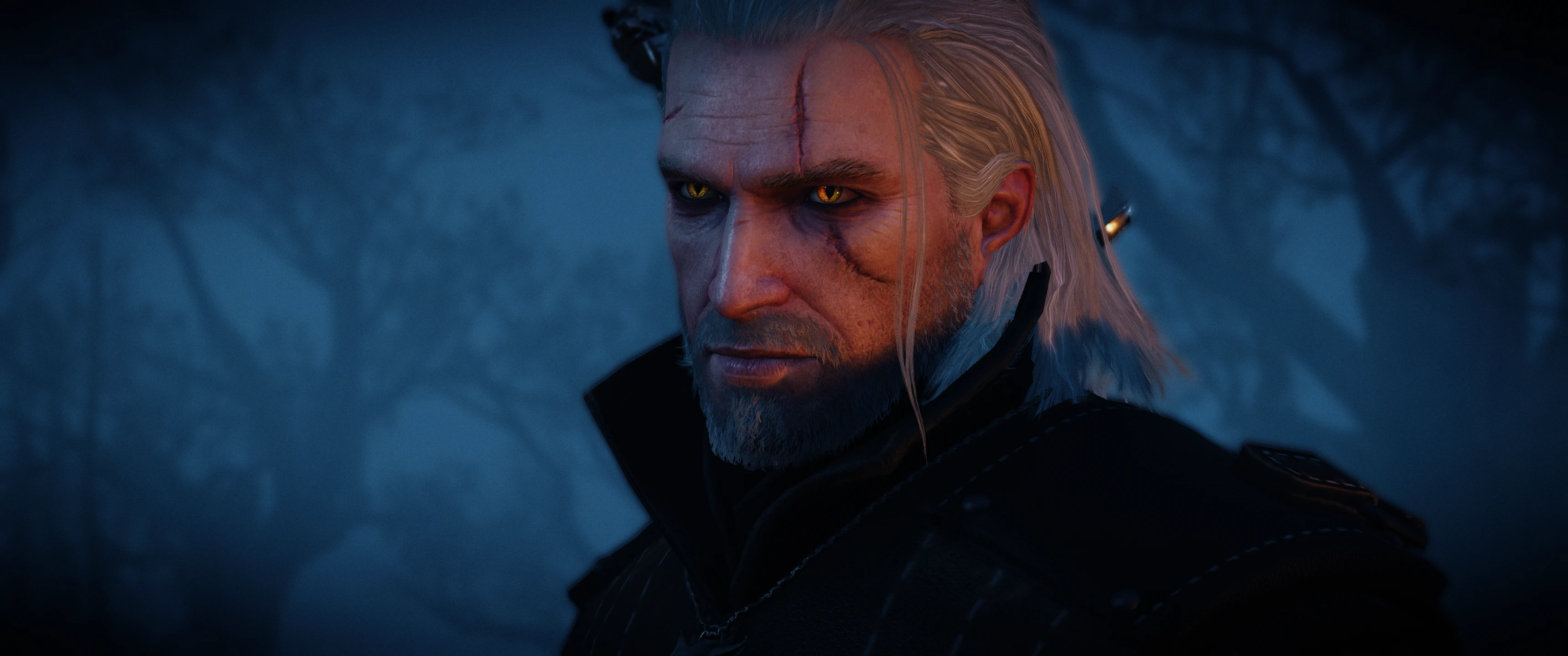 how to mod the witcher 3 using nexus mod manager