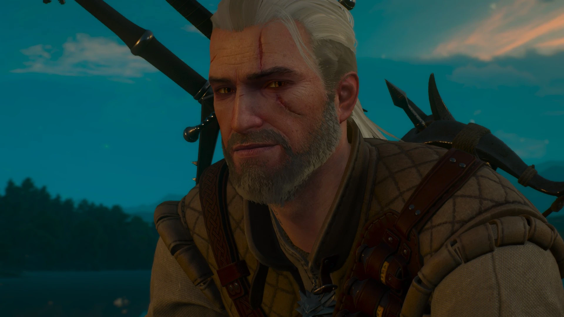 Farewell Geralt