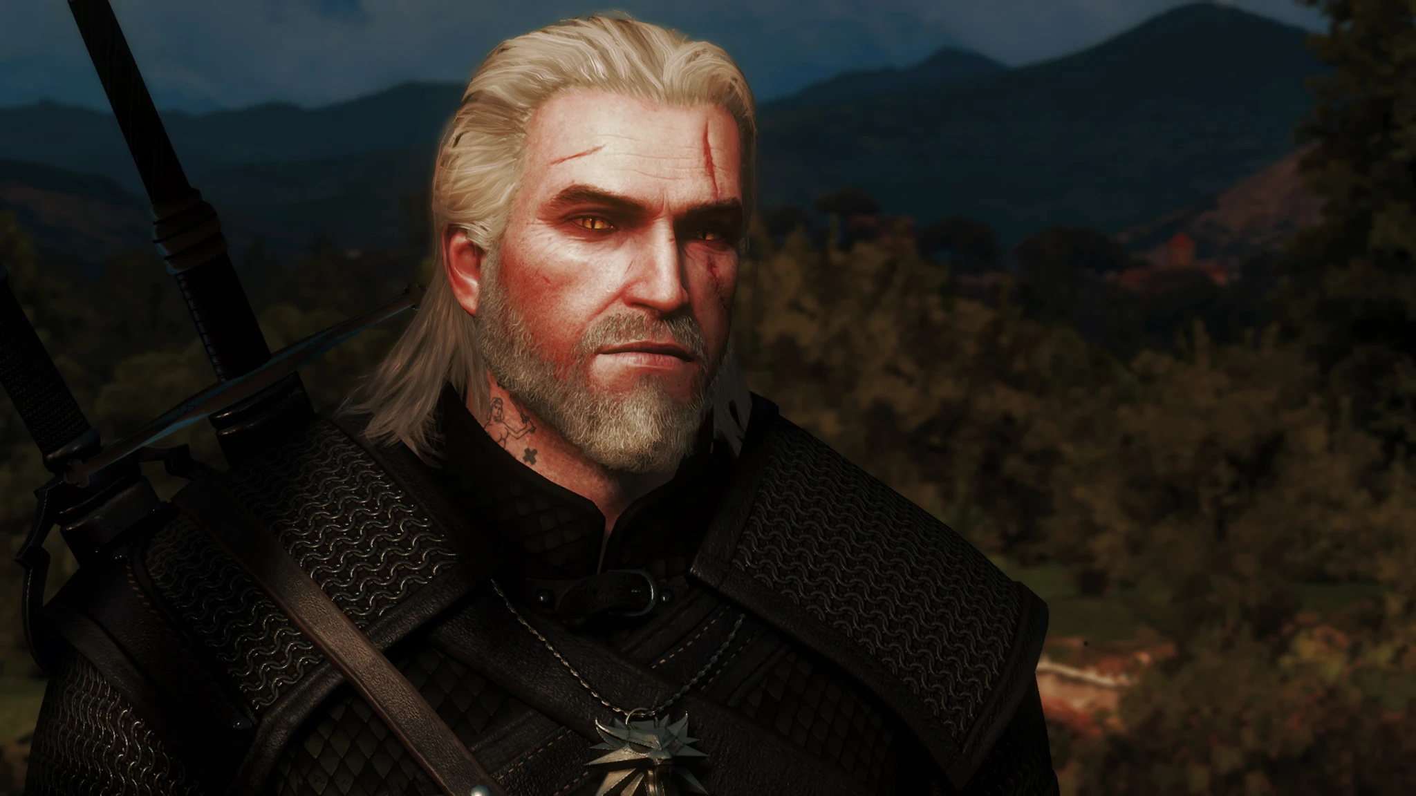 Always Vigilant At The Witcher 3 Nexus - Mods And Community