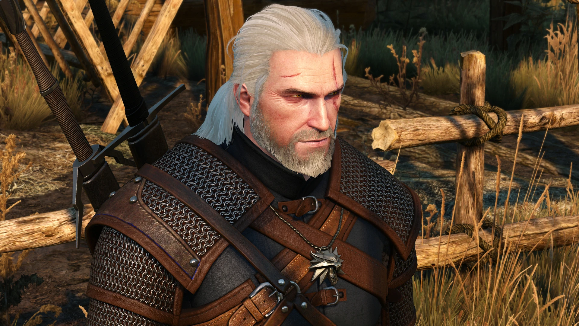 the witcher 3 mod manager