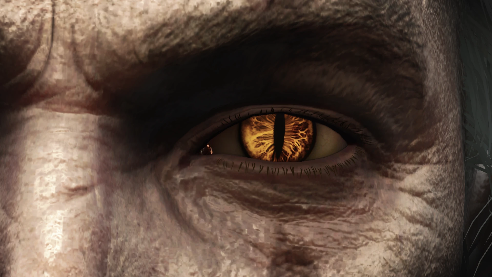 witcher 3 eye for an eye