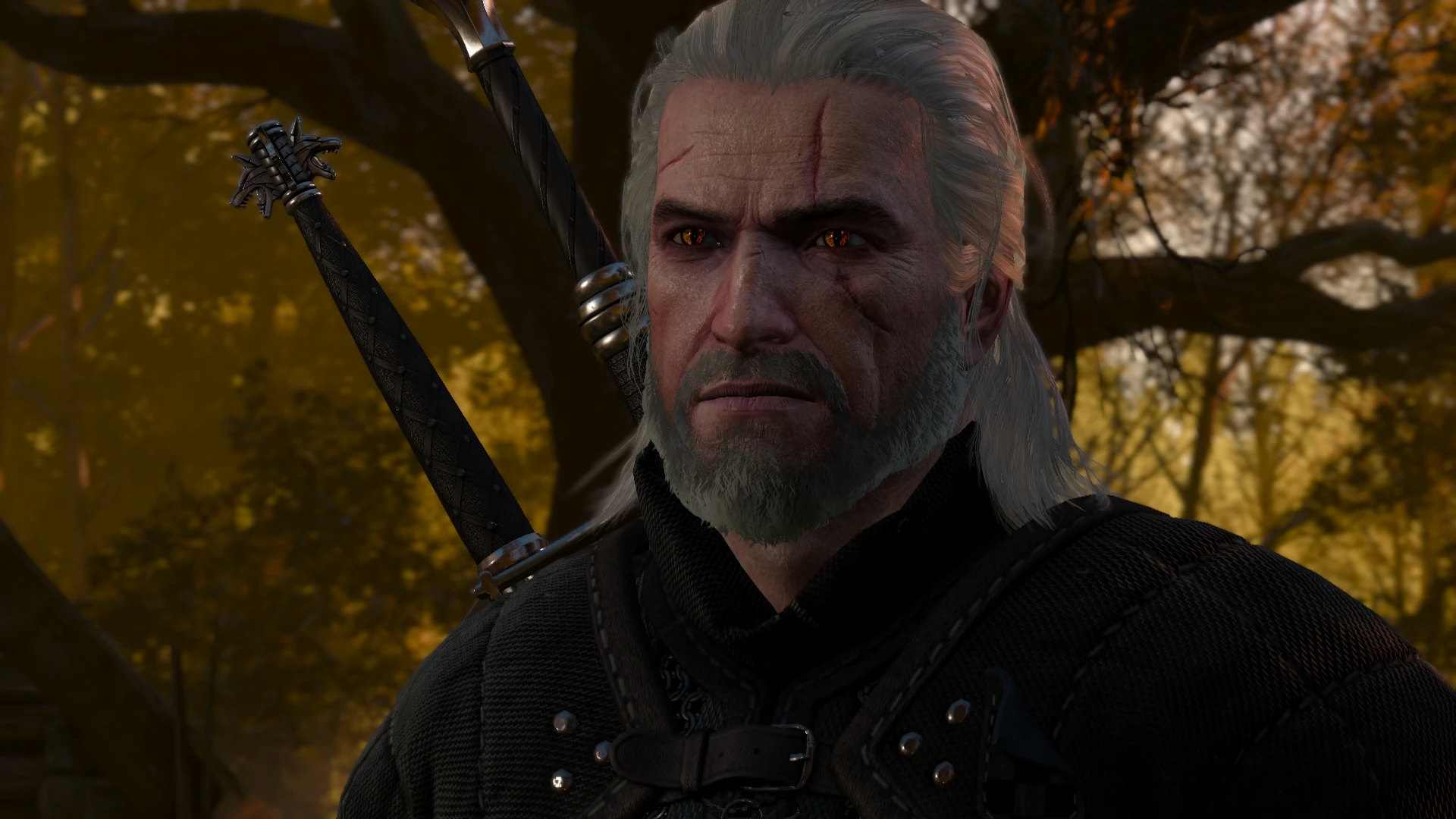 E3 Geralt's Hair at The Witcher 3 Nexus - Mods and community