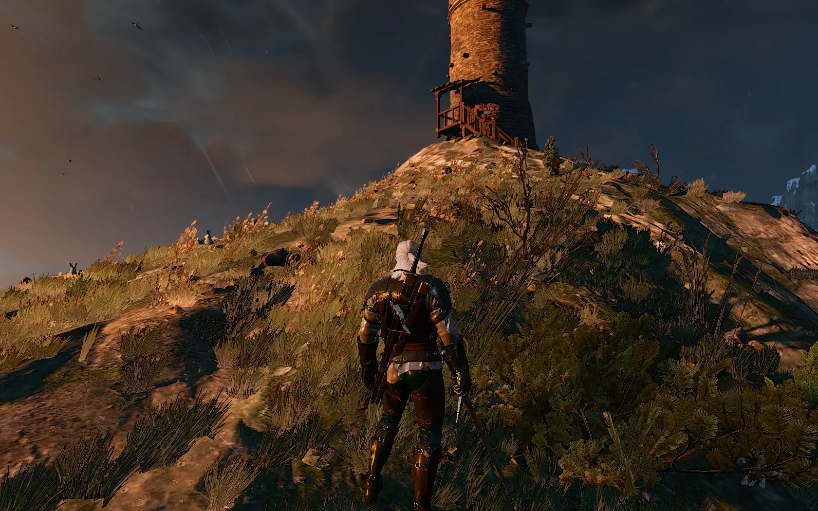 The witcher 3 nexus mods and community фото 48