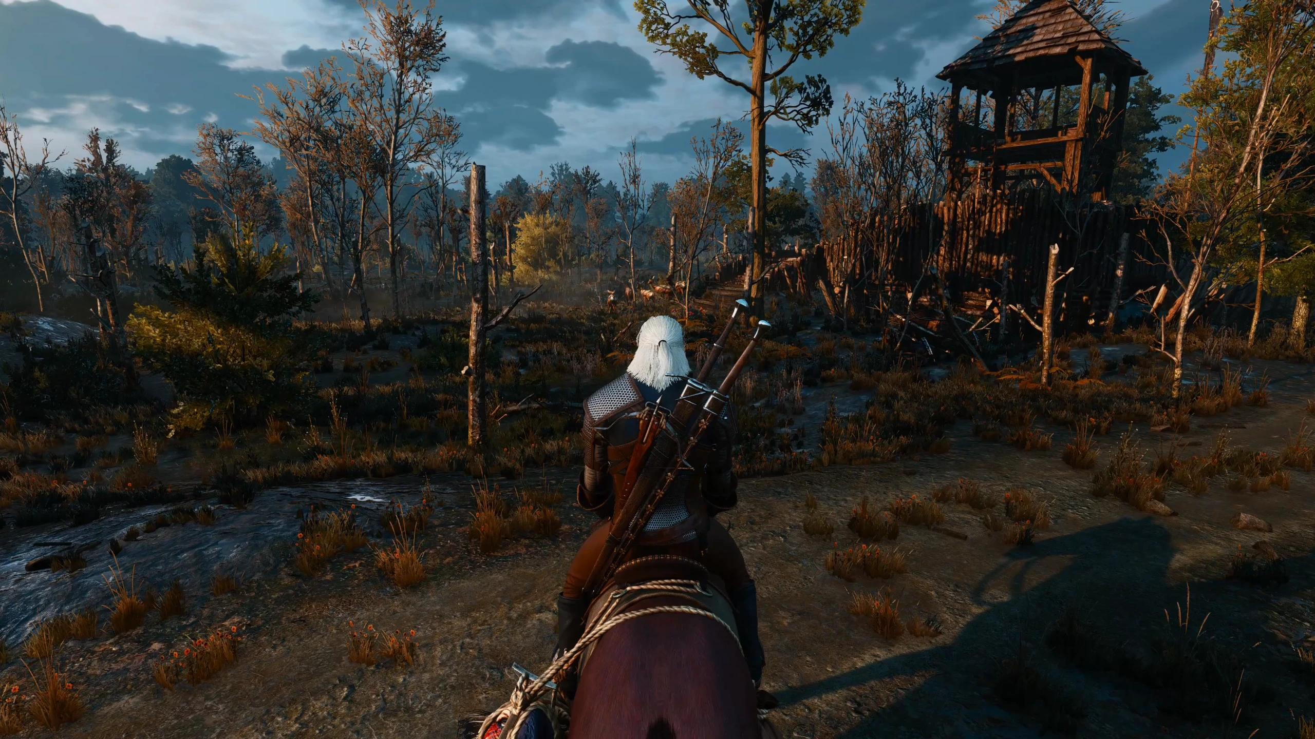 The witcher 3 nexus mods and community фото 83