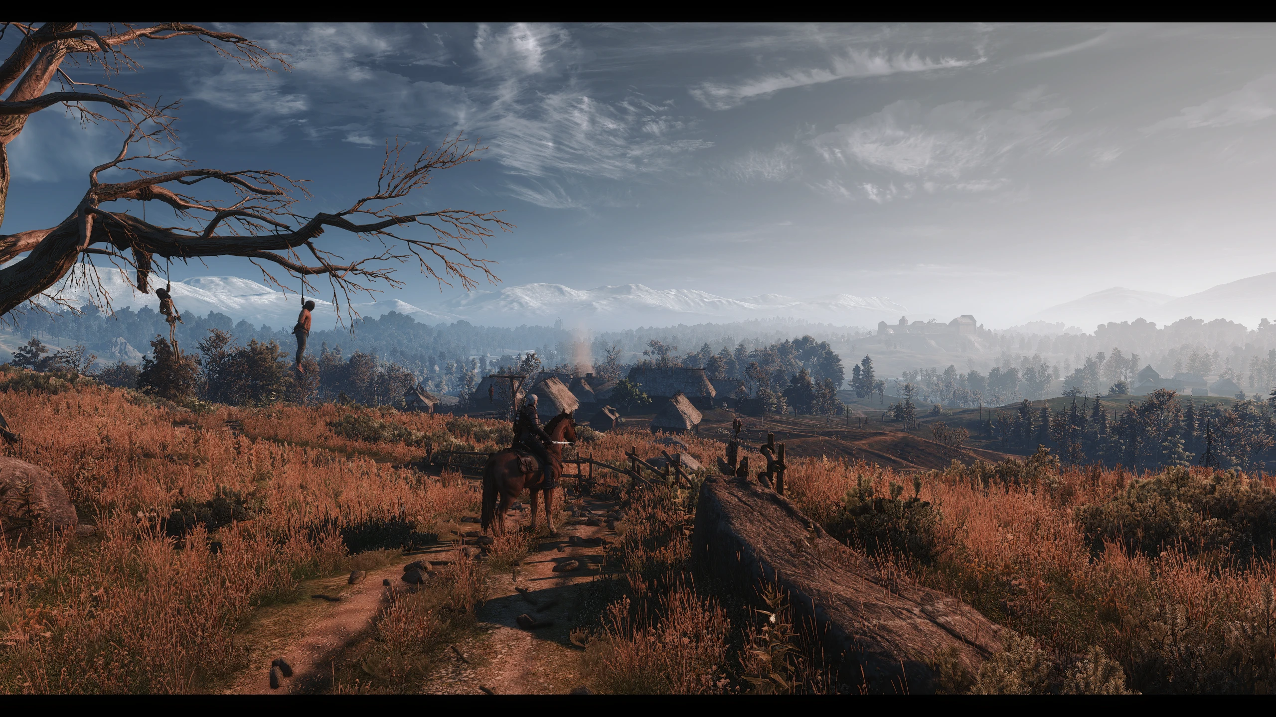 Fps для the witcher 3 фото 58