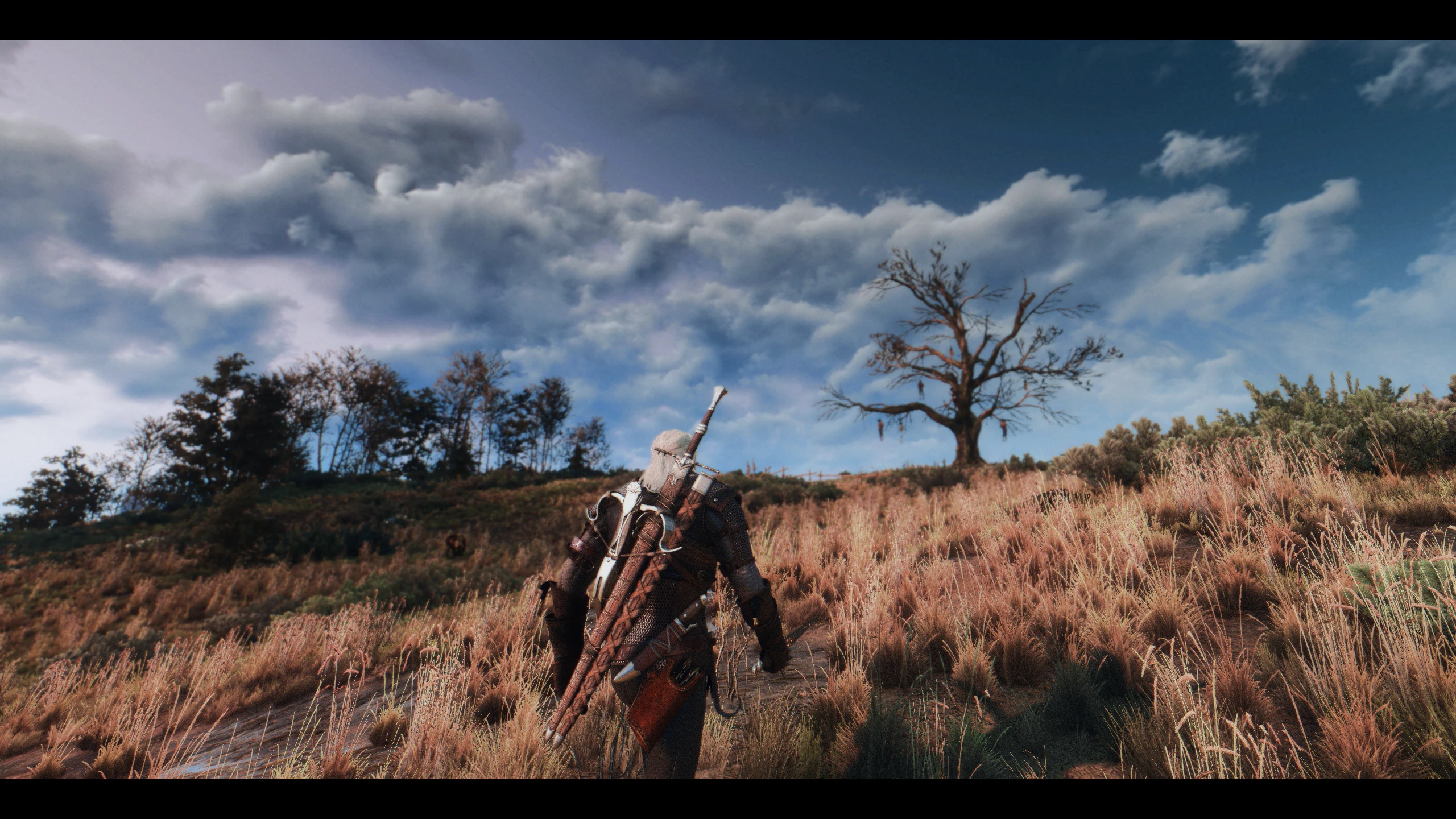 60 fps the witcher 3 фото 79