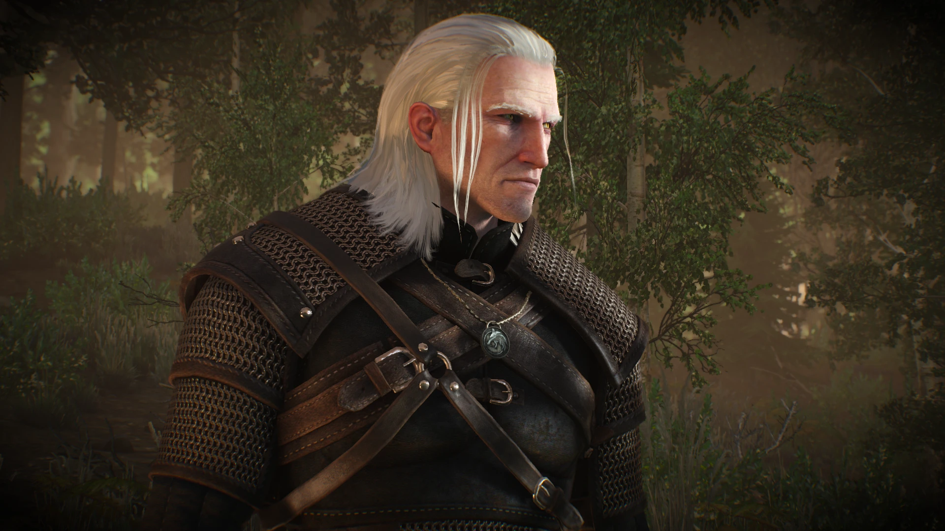 The witcher 3 geralt on steroids фото 105