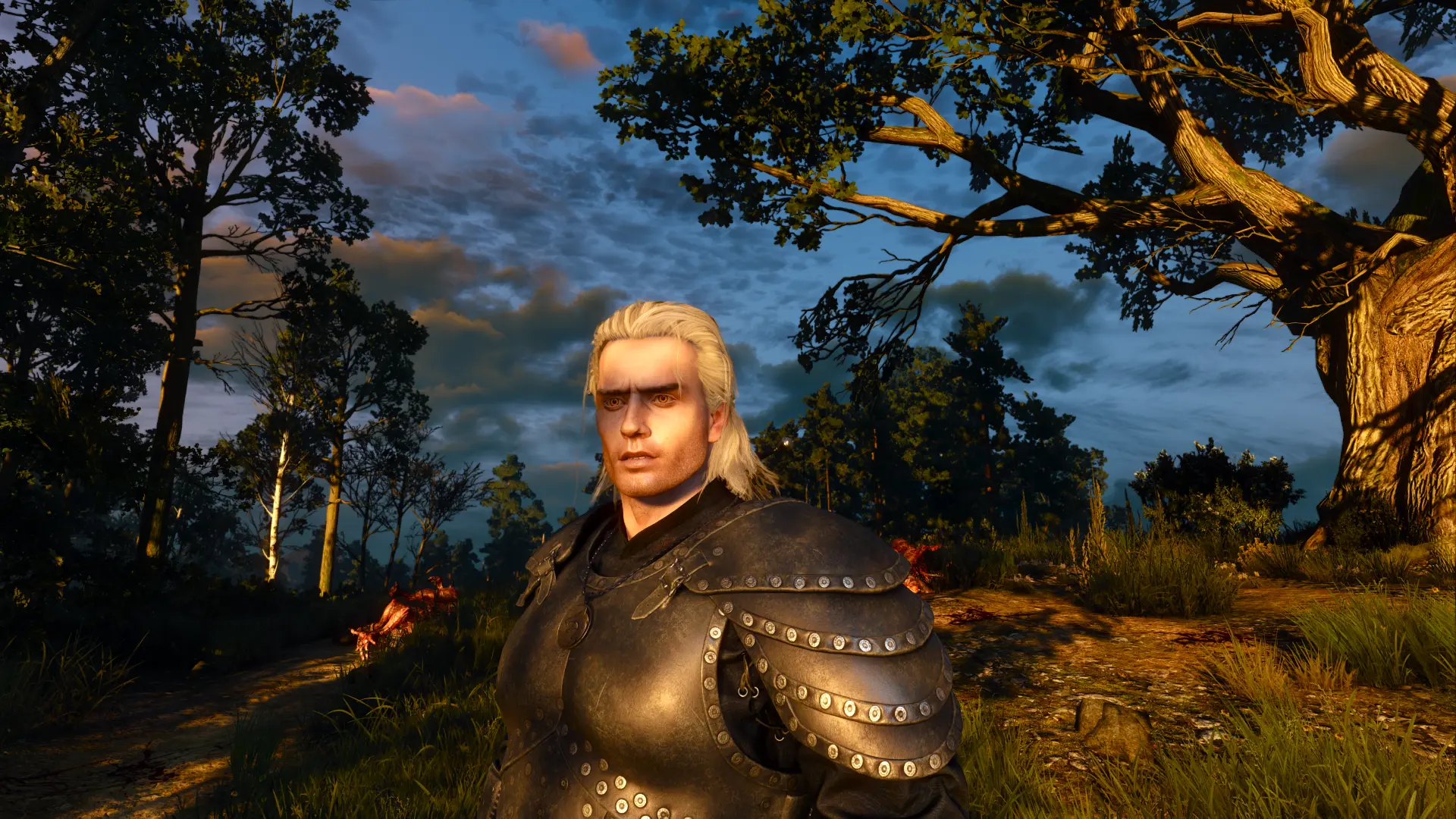 The Witcher Nexus - mods and community