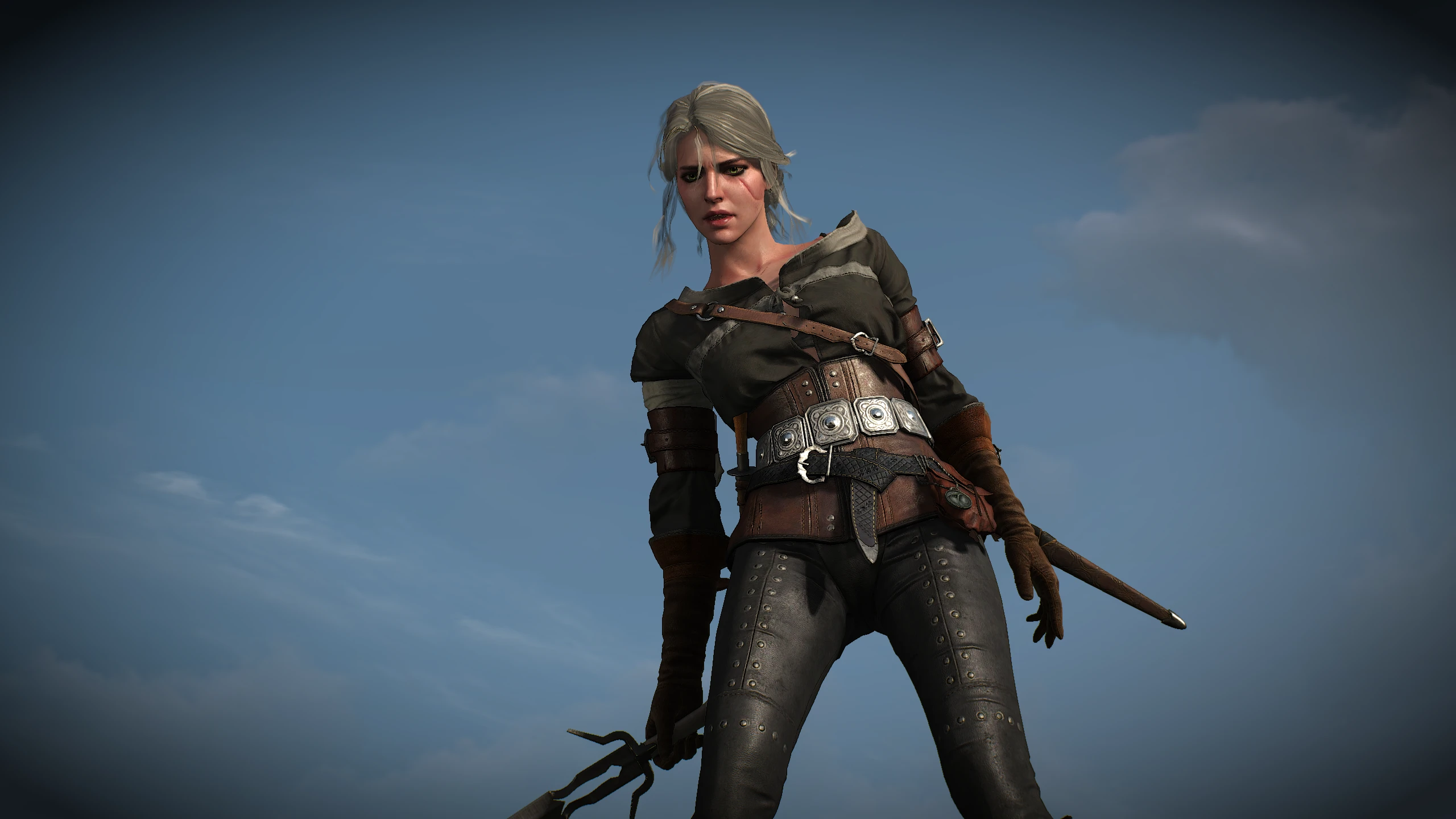 Can you play as ciri in the witcher 3 фото 53