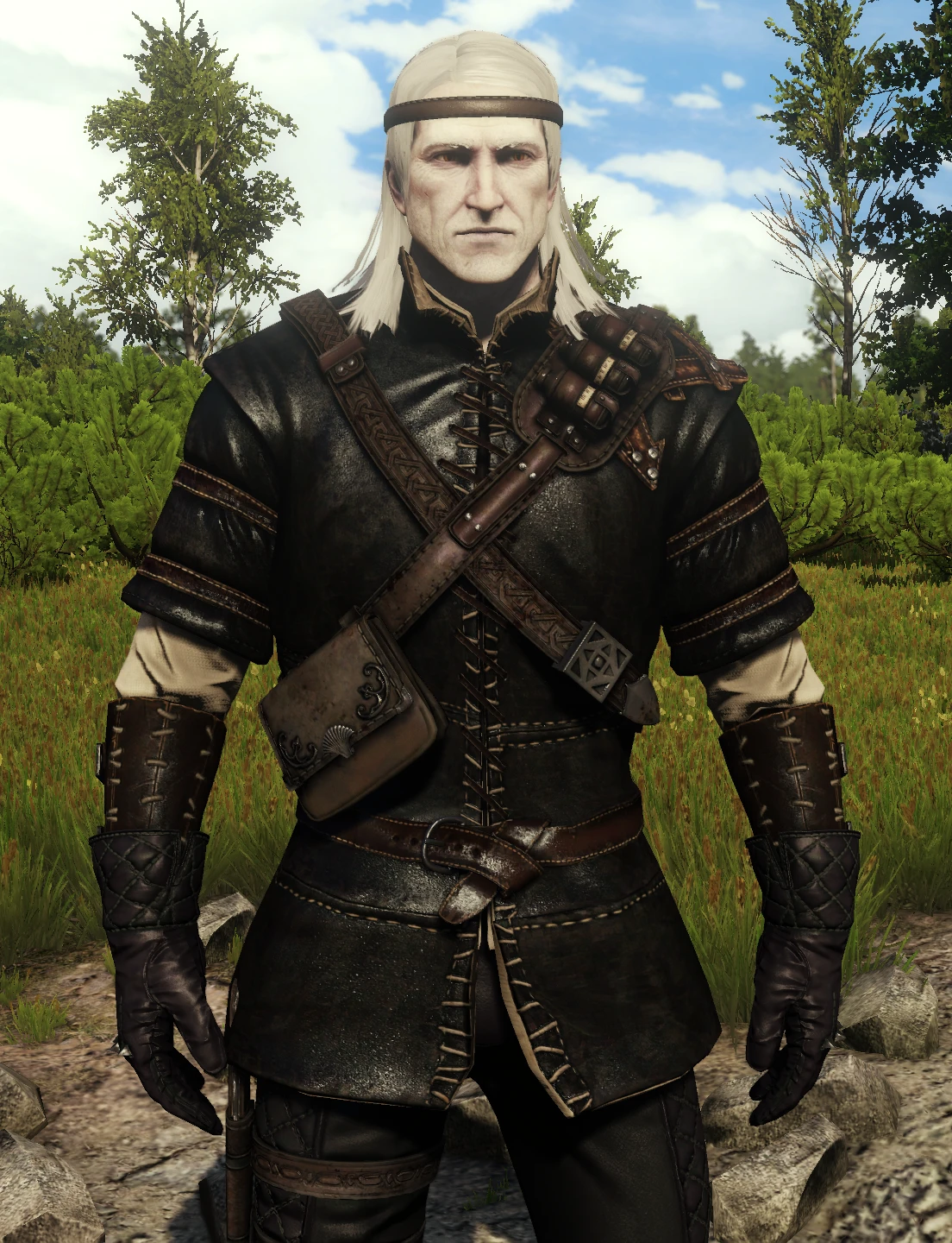 Lore friendly variation 1 at The Witcher 3 Nexus - Mods and community