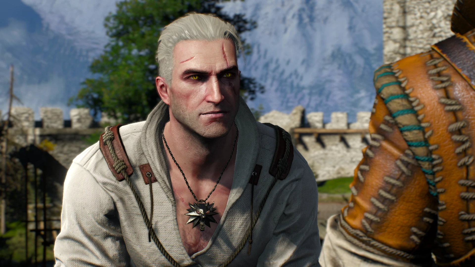 The witcher 3 geralt on steroids фото 67