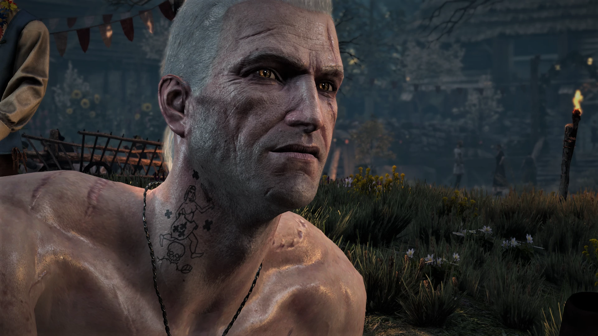 Let me insert at the witcher 3 nexus mods and community