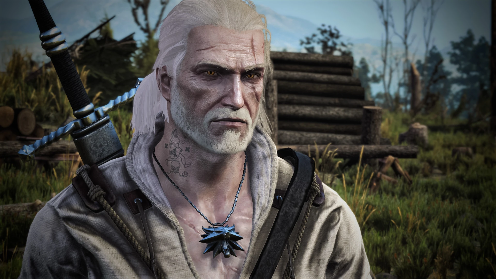 The True Witcher Skin Tone at The Witcher 3 Nexus - Mods and community