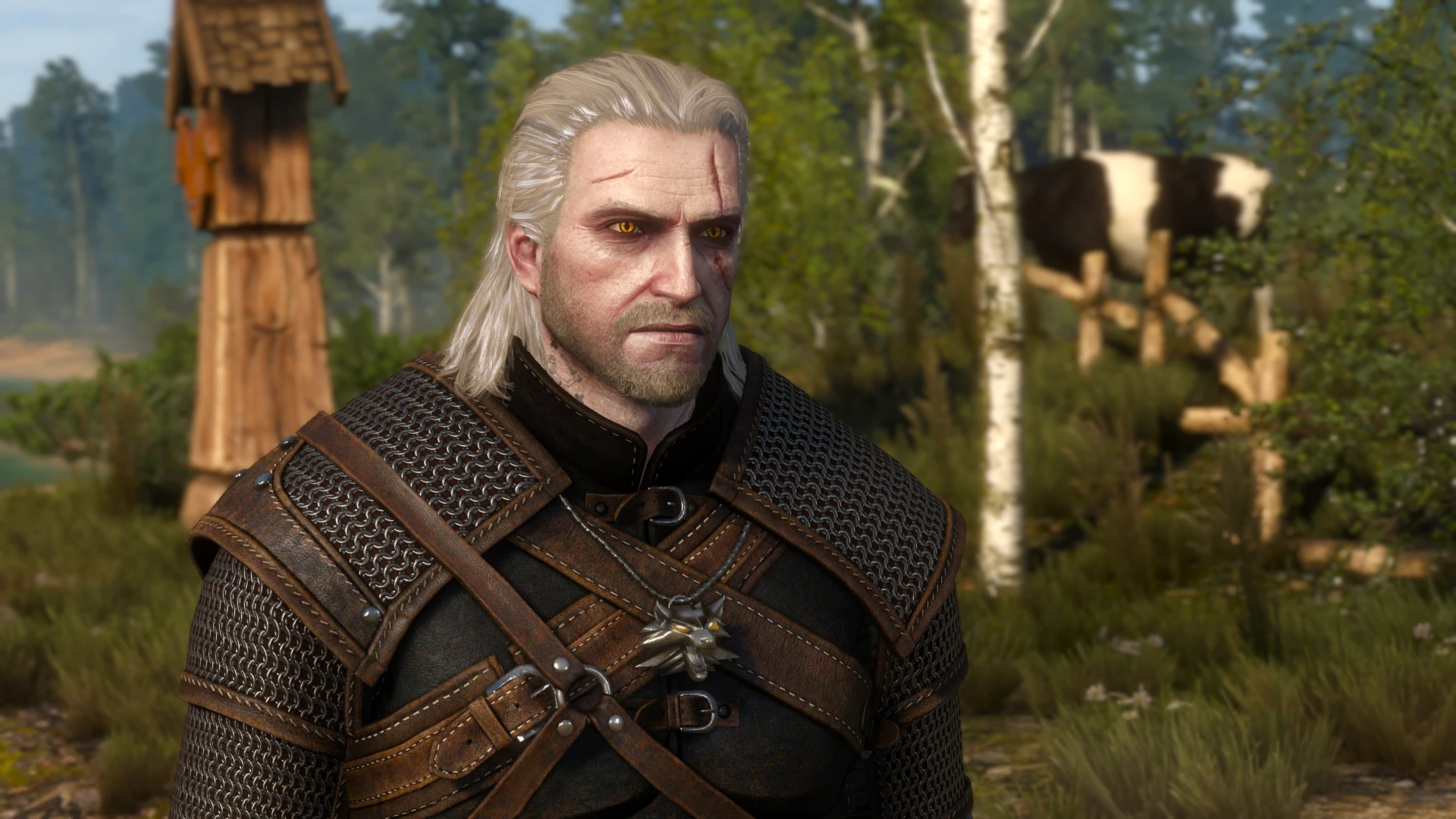 Angry Geralt At The Witcher Nexus Mods And Community