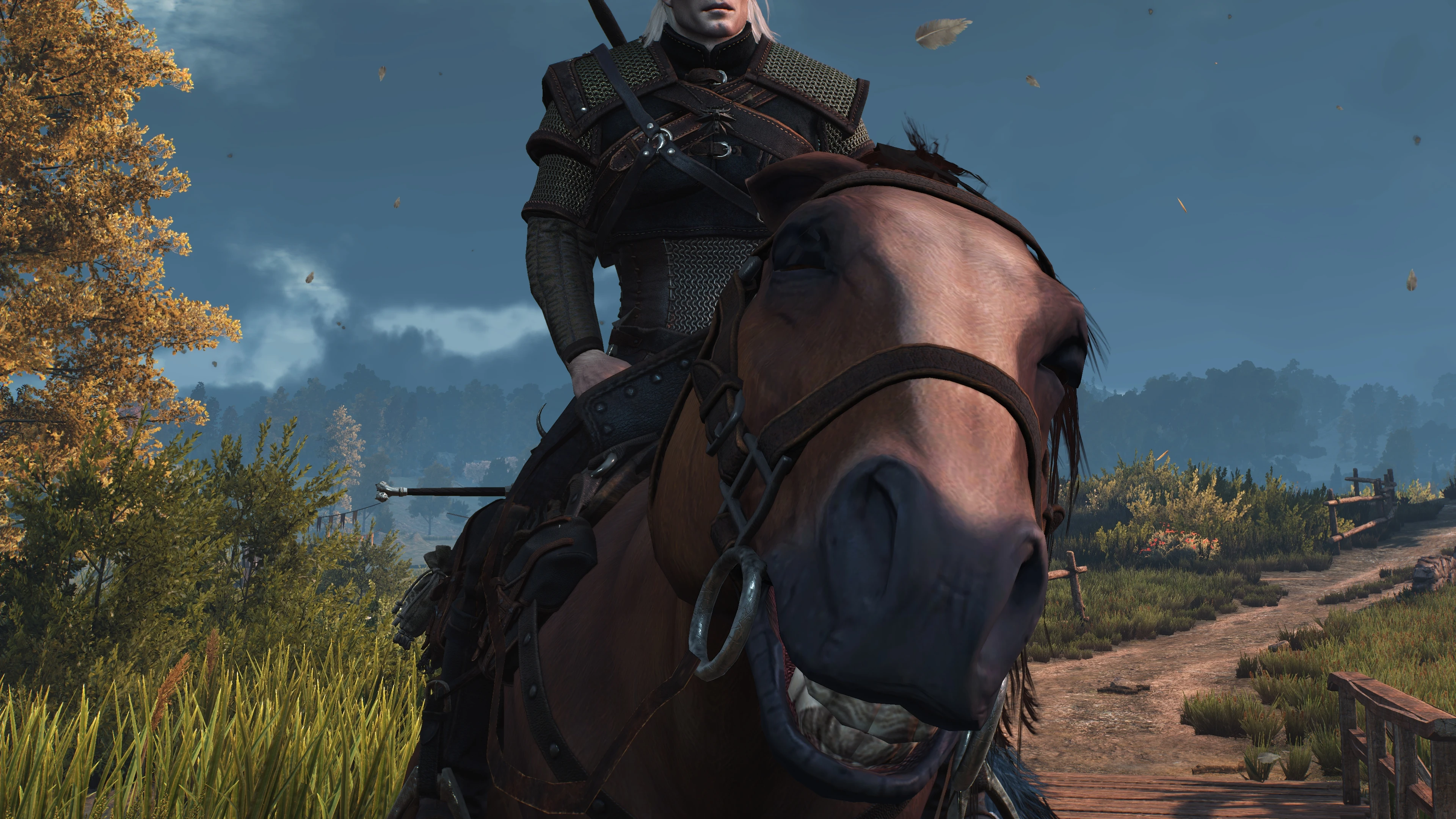 Jolly Roach At The Witcher 3 Nexus Mods And Community.