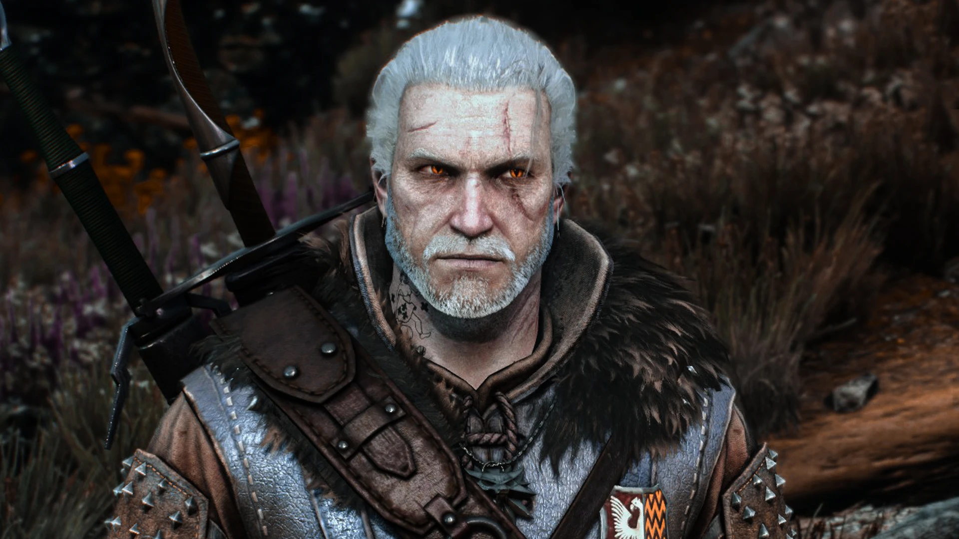 The witcher 3 geralt face фото 116
