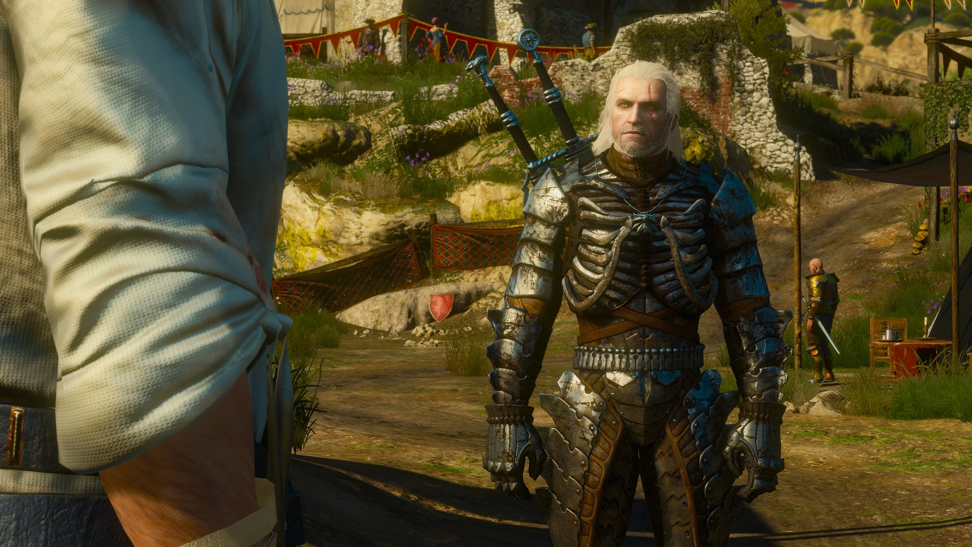 The witcher 3 armor pack фото 39