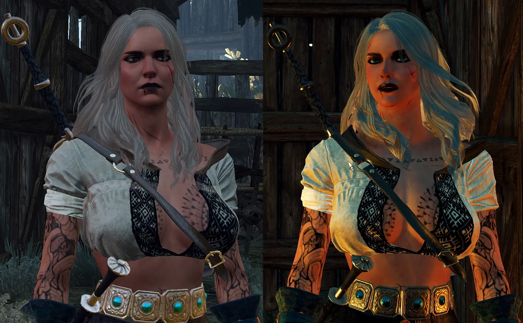 Witcher 3 Tits