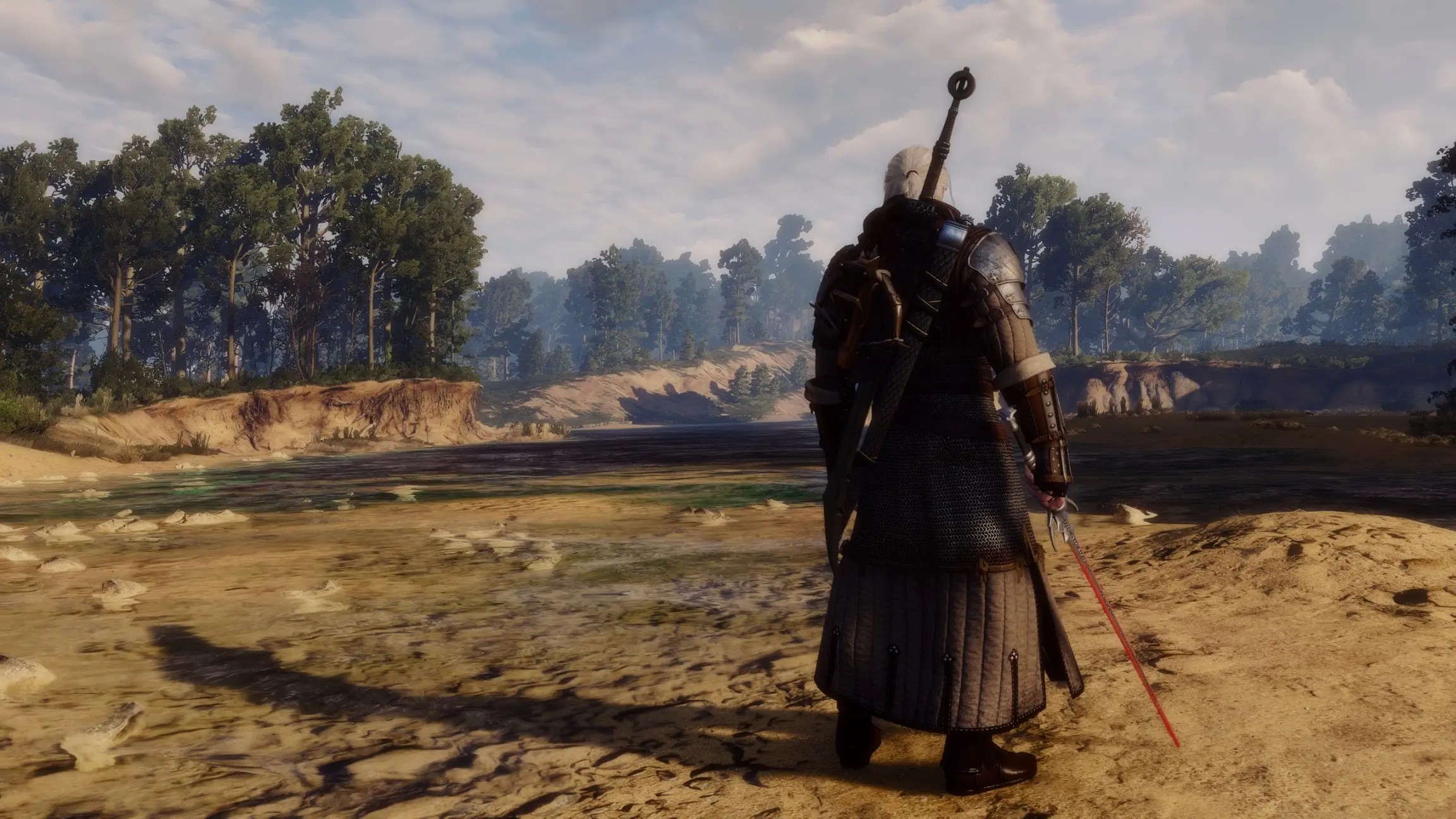 The witcher 3 enhanced edition nexus фото 80