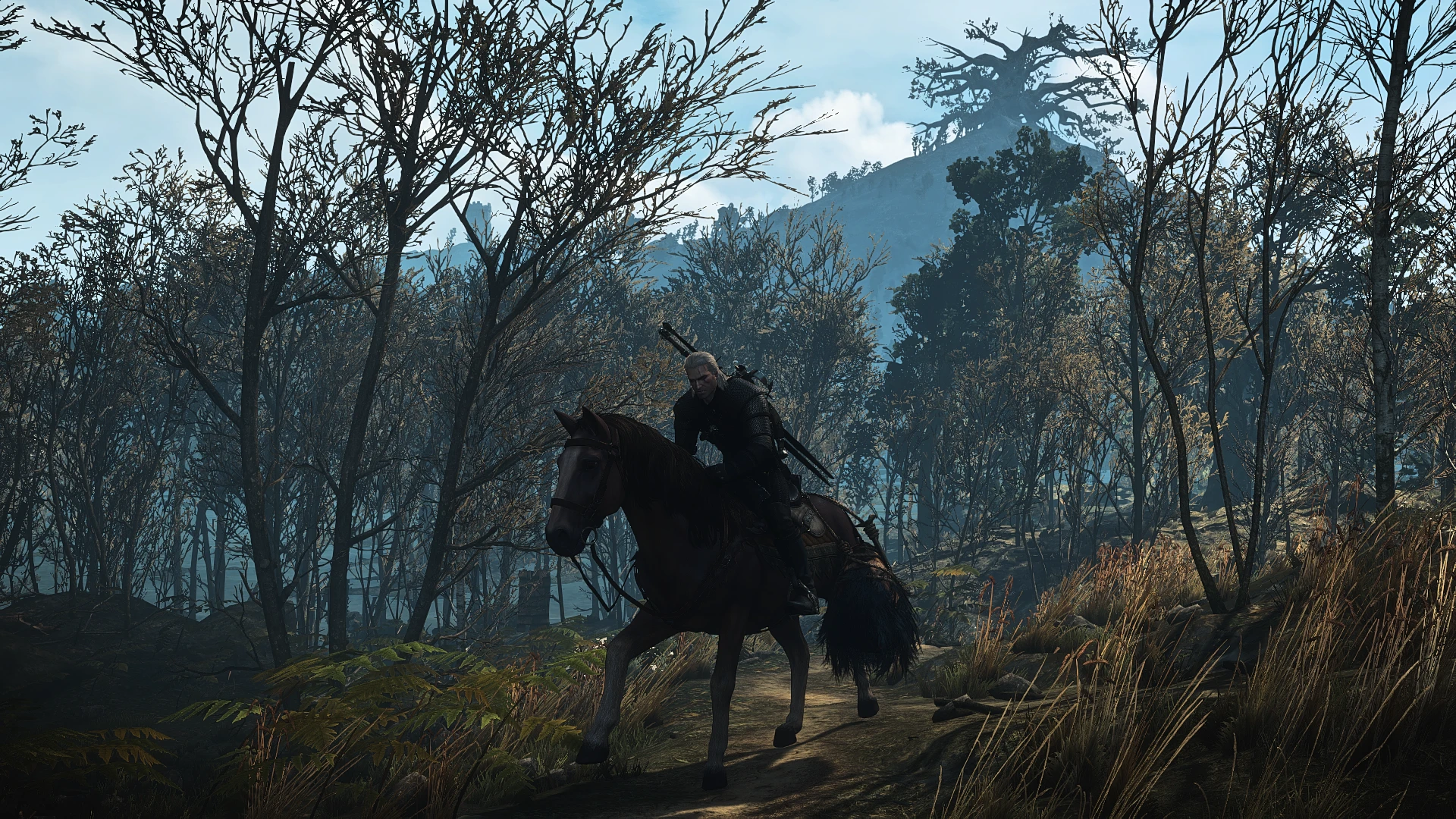 Through the swamp at The Witcher 3 Nexus - Mods and community