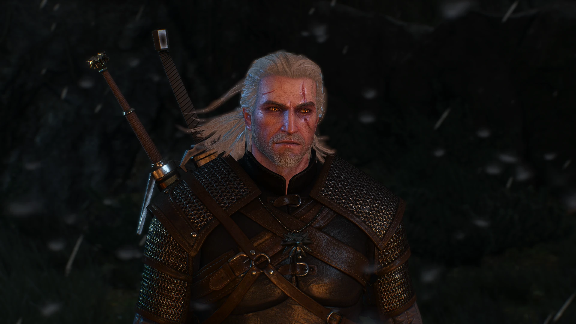 witcher 3 gay mods