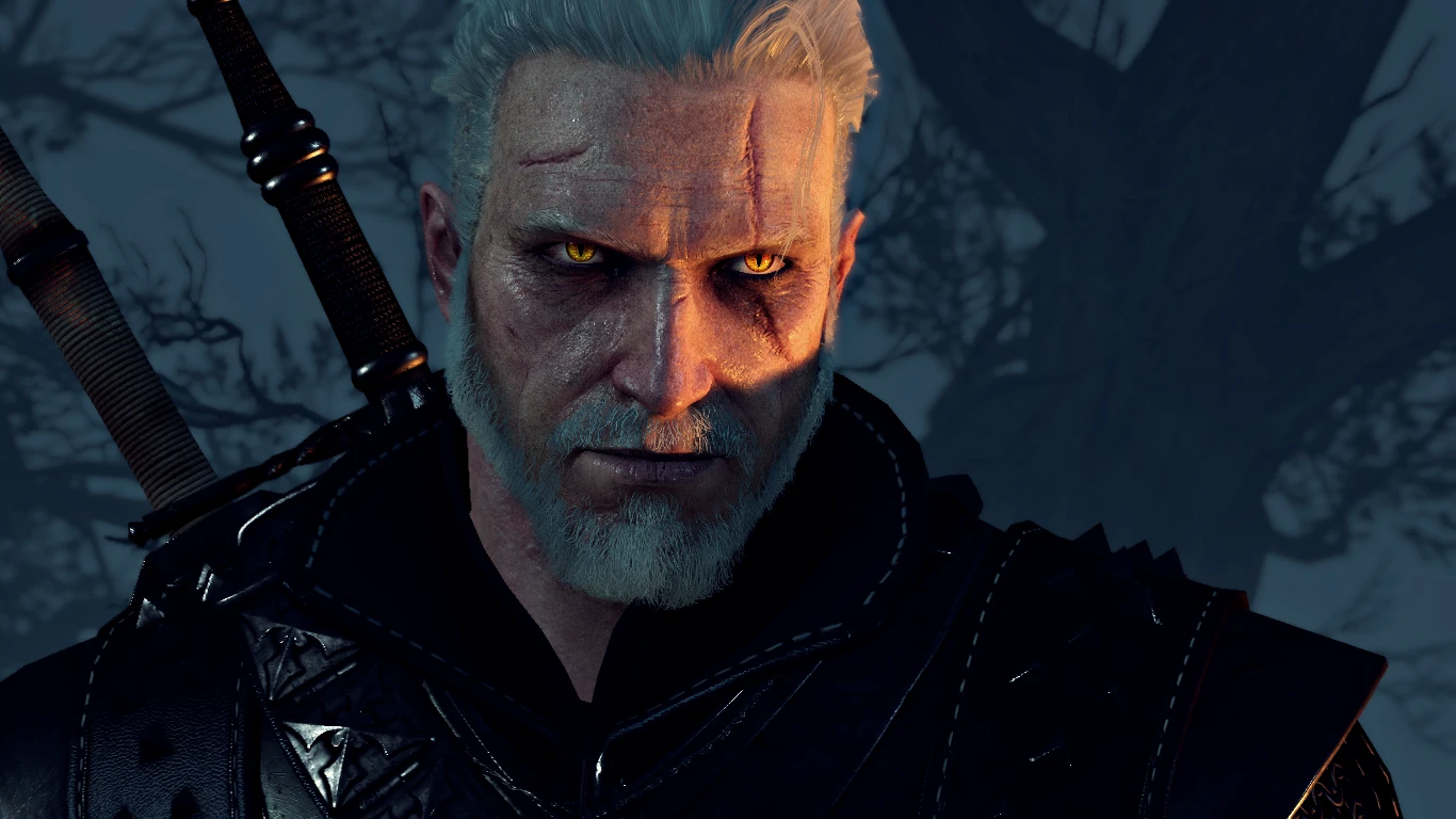 GitHub - cvax/modReflexes: Witcher 3 mod that focuses on Geralt's fighting  speeds