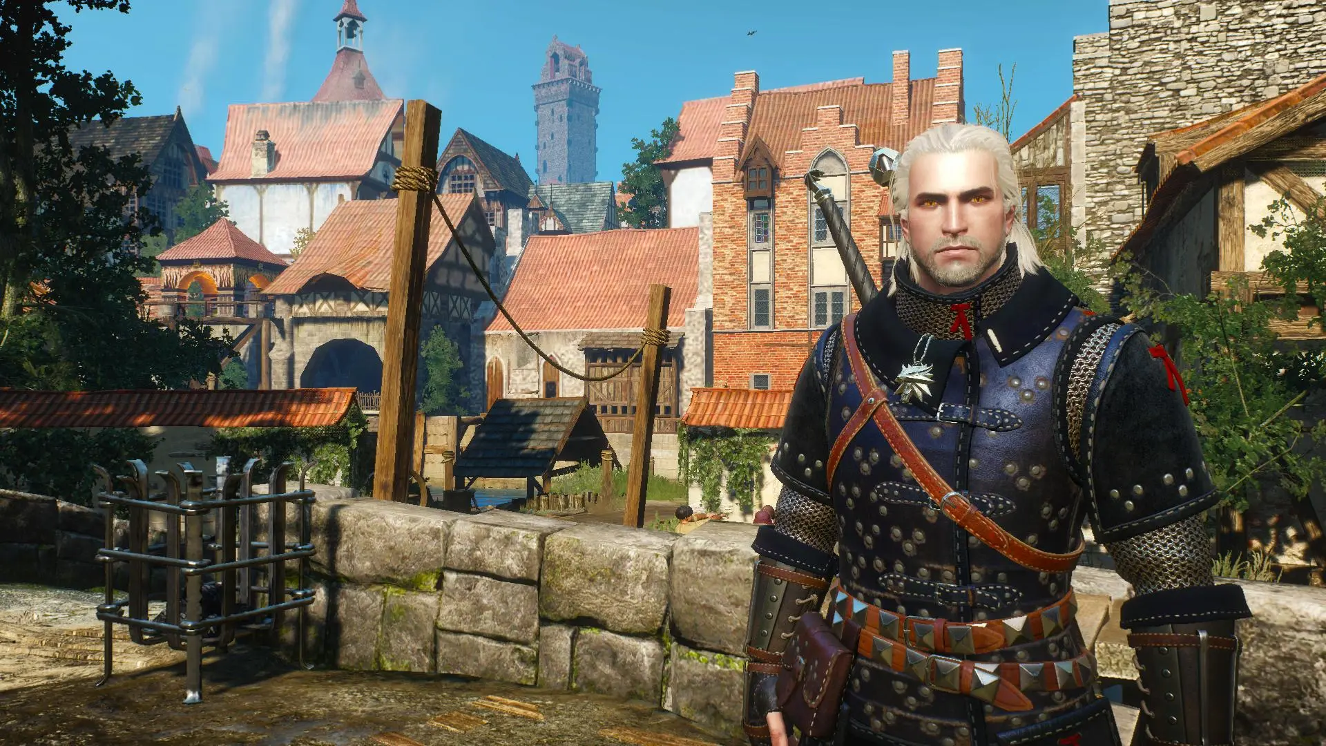 The witcher 3 mods fantasy фото 107