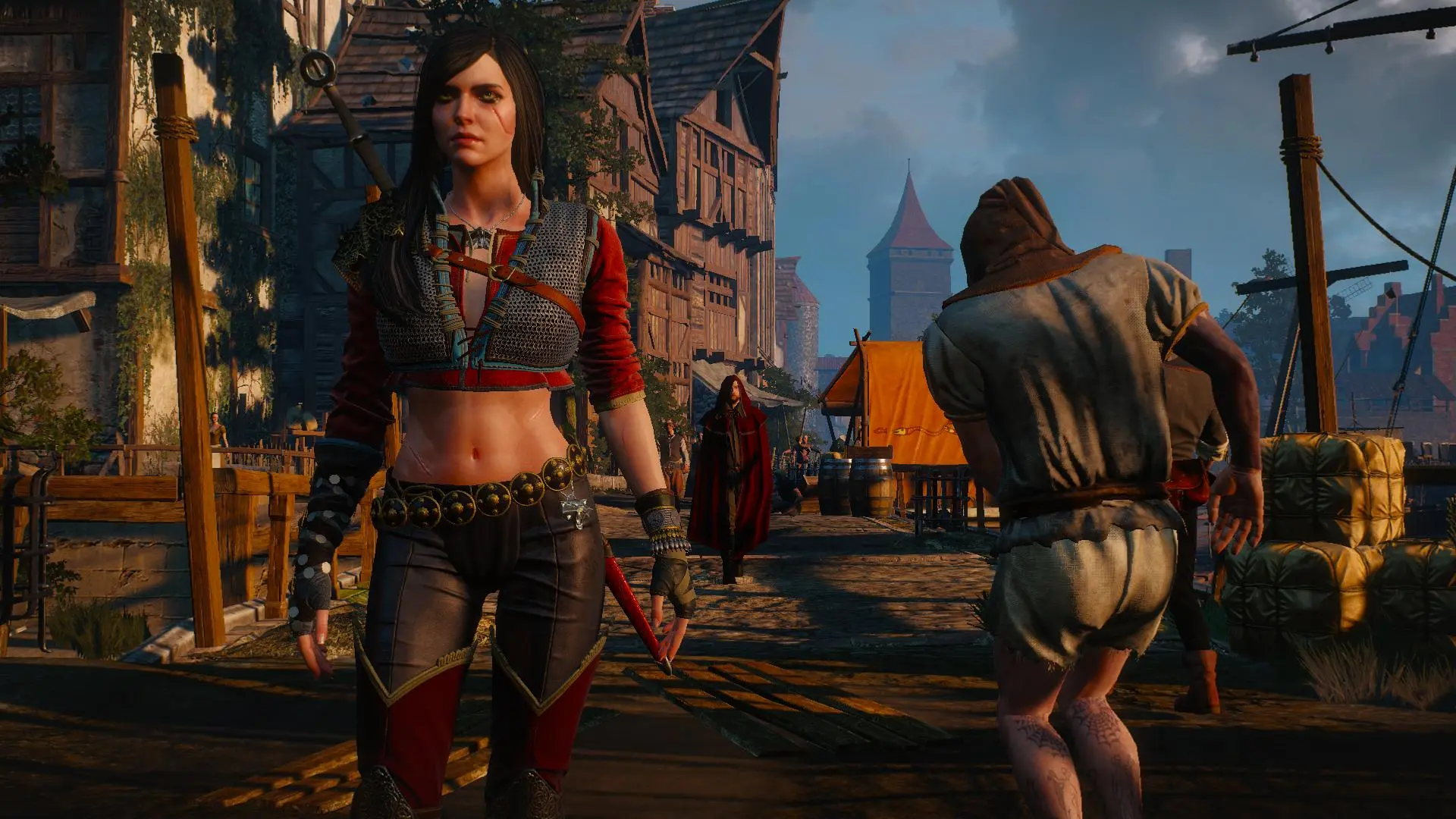 Ciri Skellige Outfit at The Witcher 3 Nexus - Mods and community