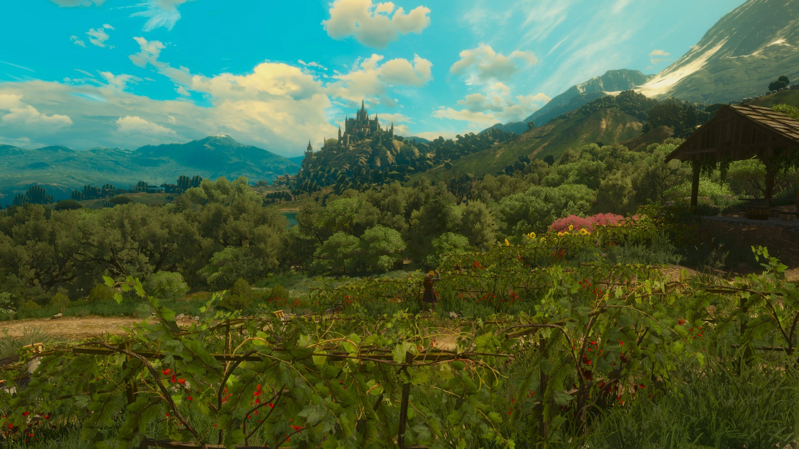 Toussaint B At The Witcher 3 Nexus - Mods And Community