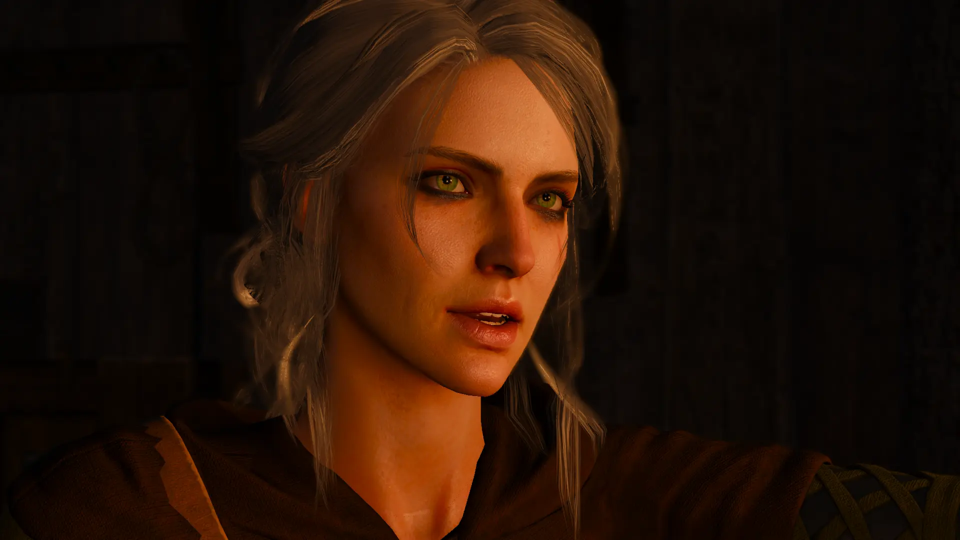 Joyous Ciri at The Witcher 3 Nexus - Mods and community